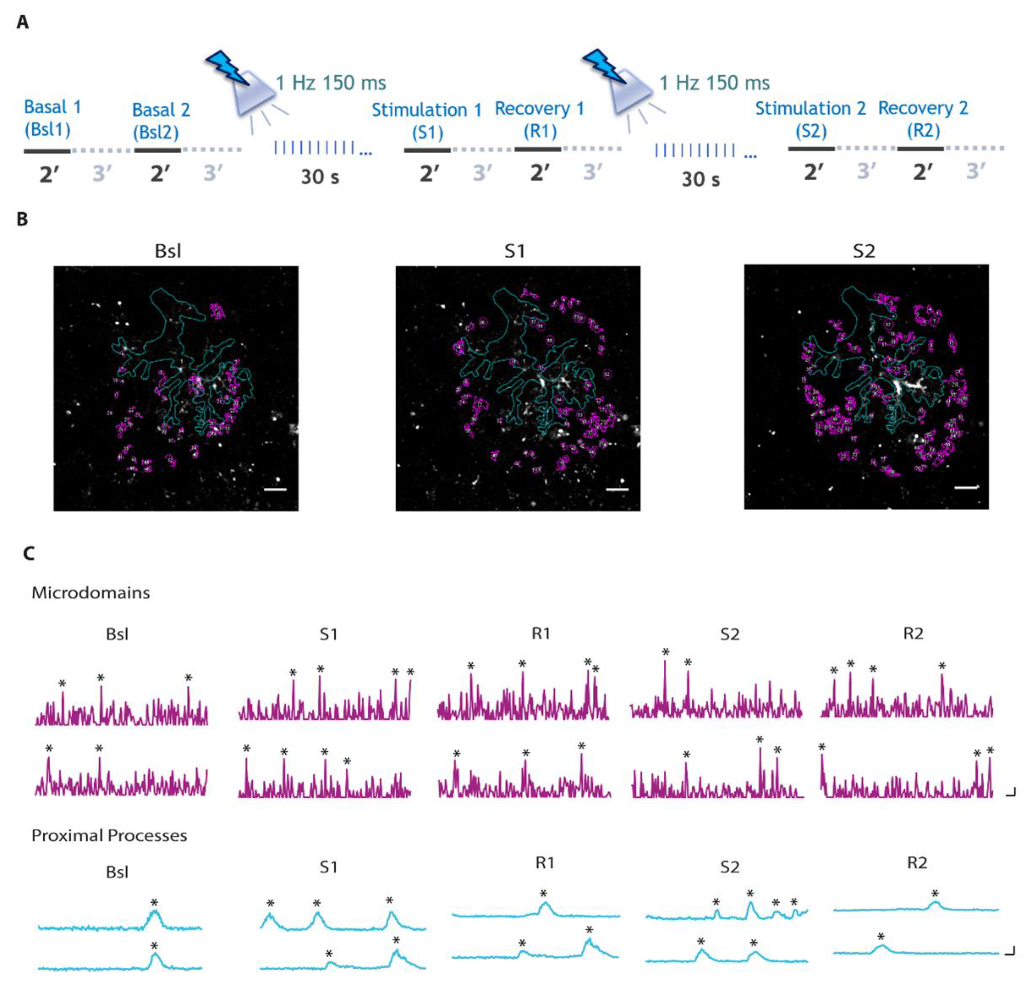 Cells 11 01400 g002 Cells 11 01400 g002
