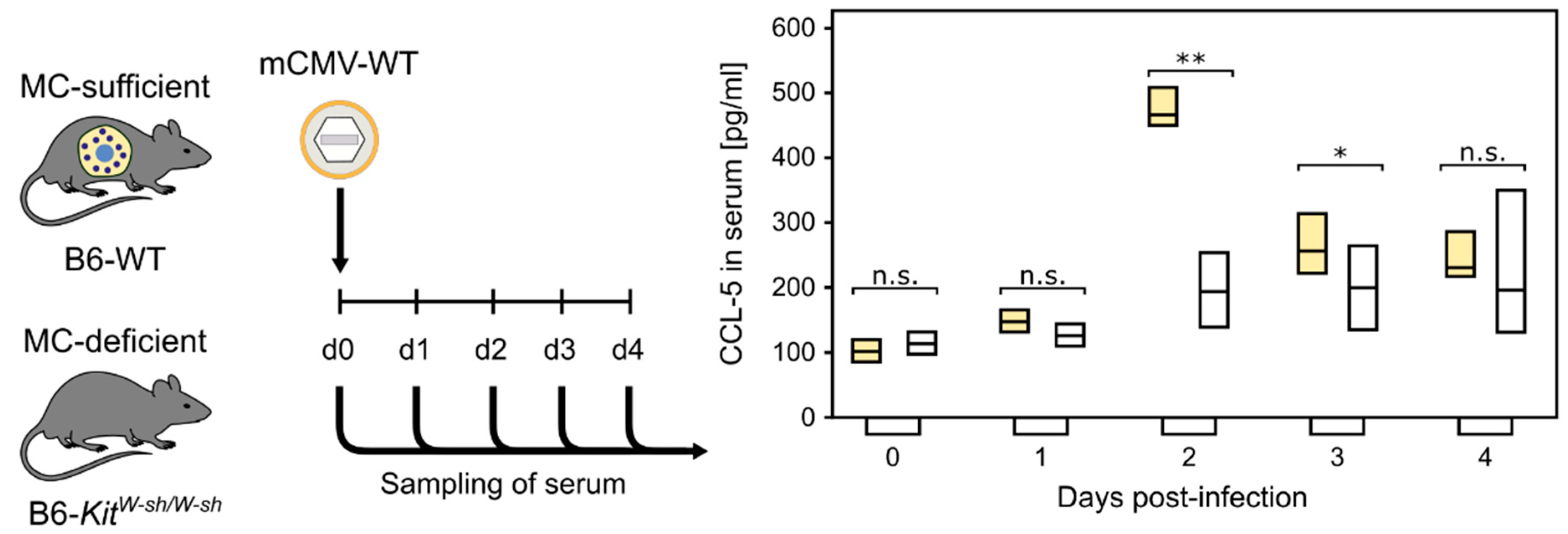 Cells 11 01402 g001 Cells 11 01402 g001