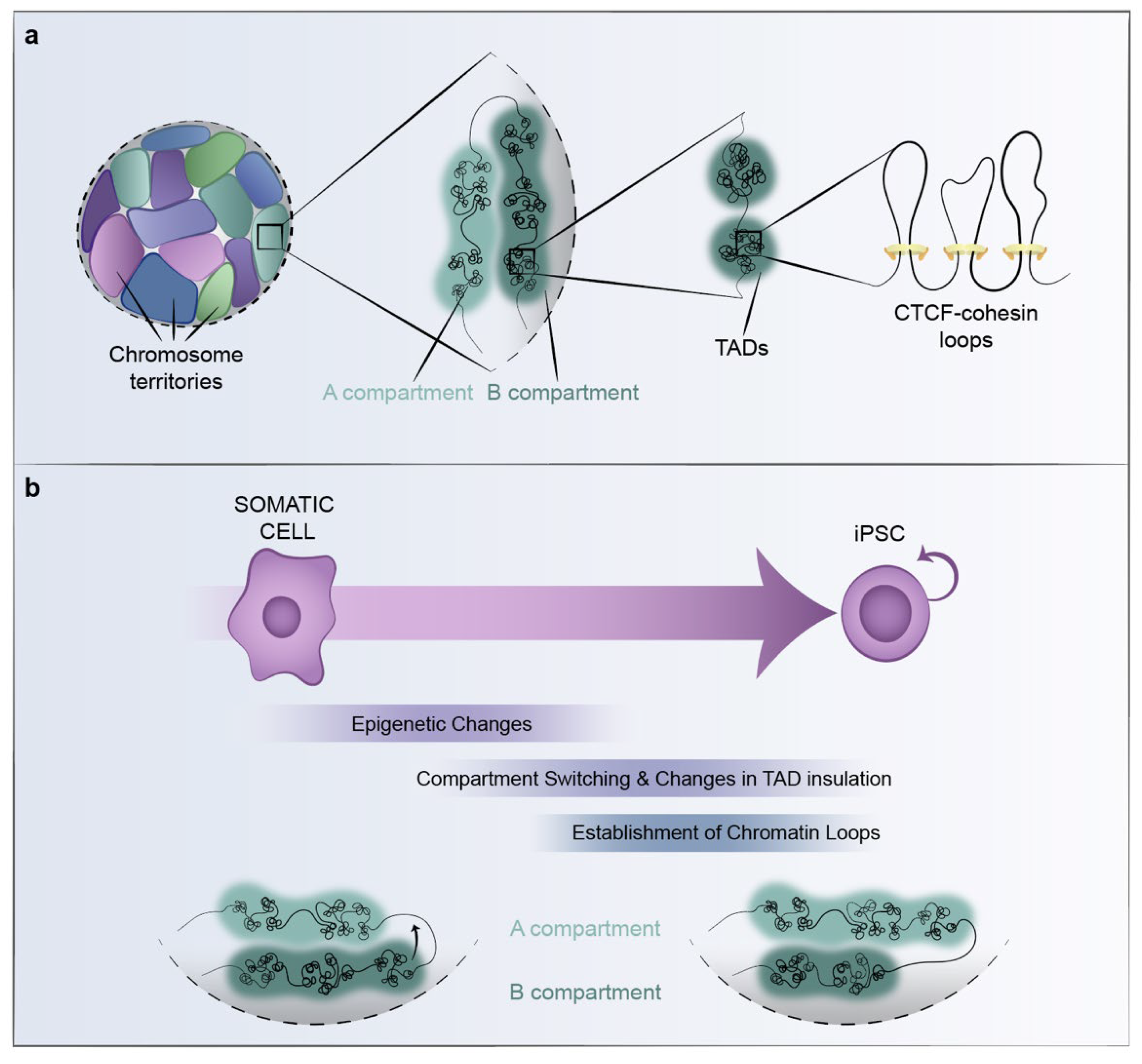 Cells 11 01404 g002