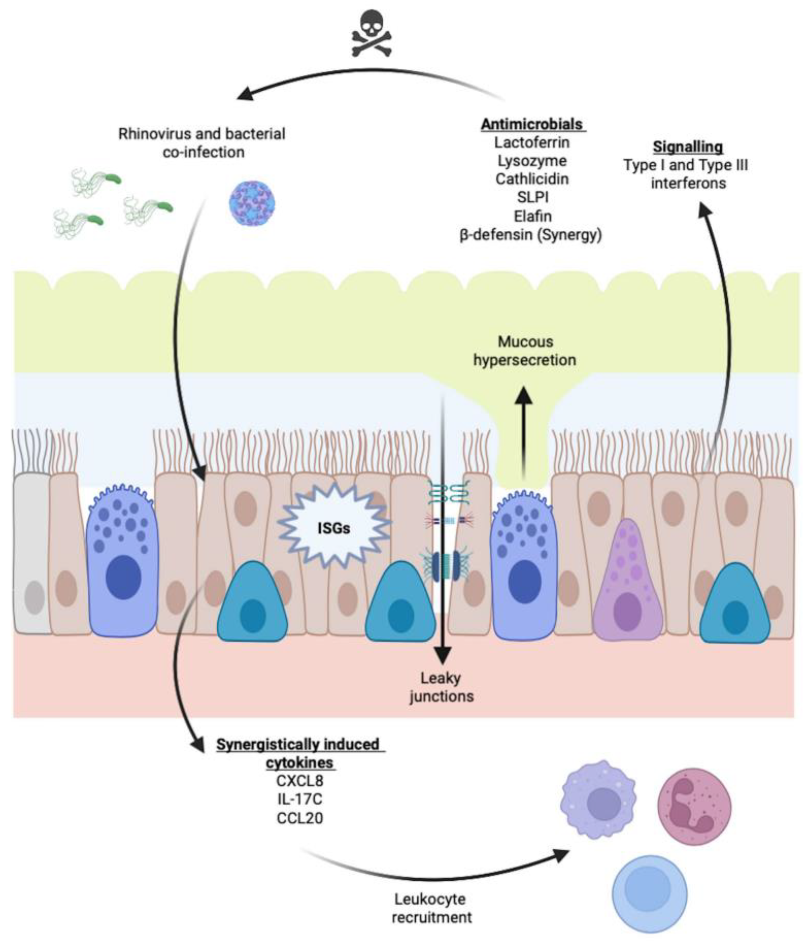 Cells 11 01416 g003 Cells 11 01416 g003
