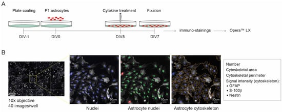 Cells 11 01428 g001 550