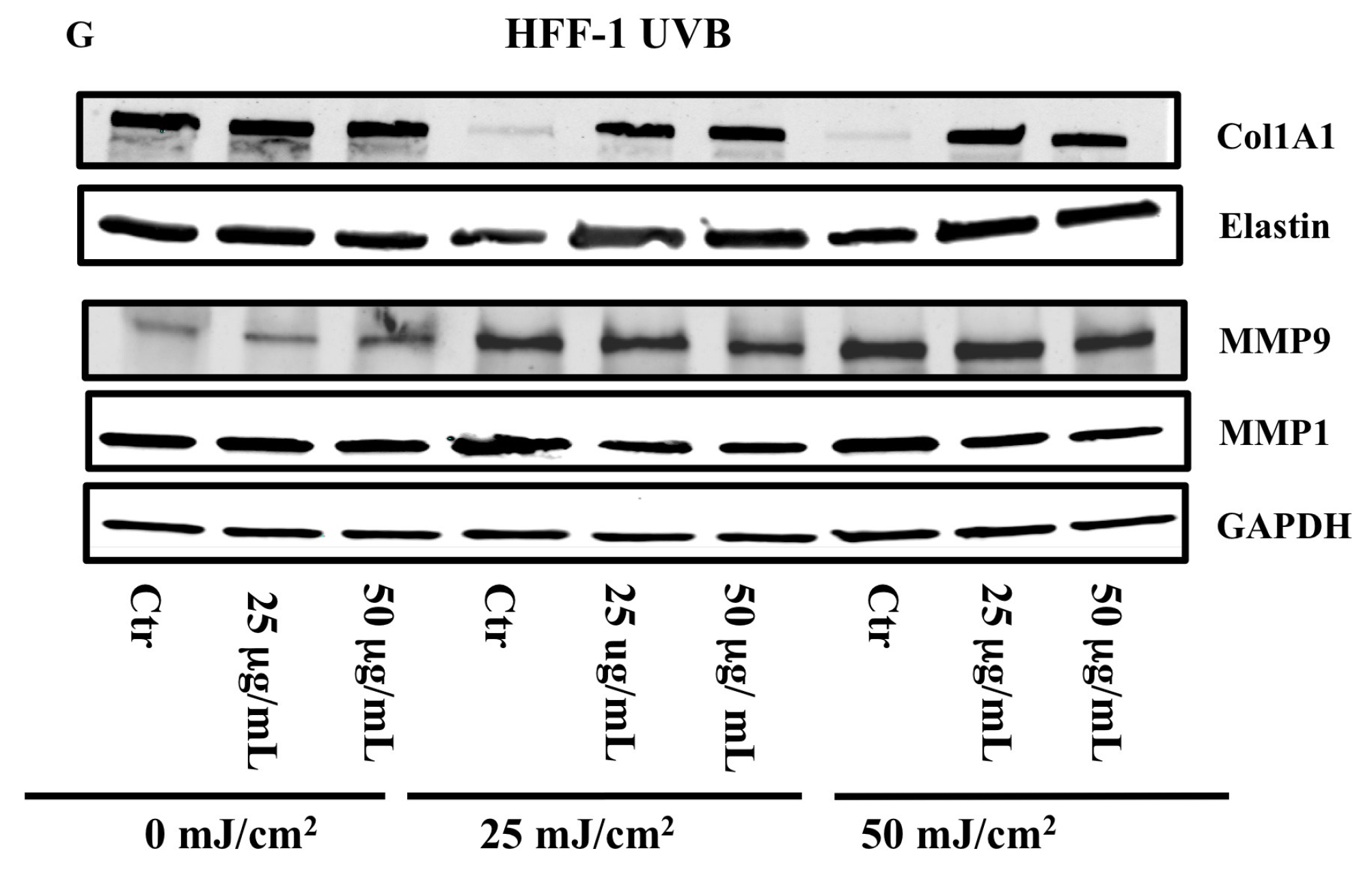 Cells 11 01447 g008b