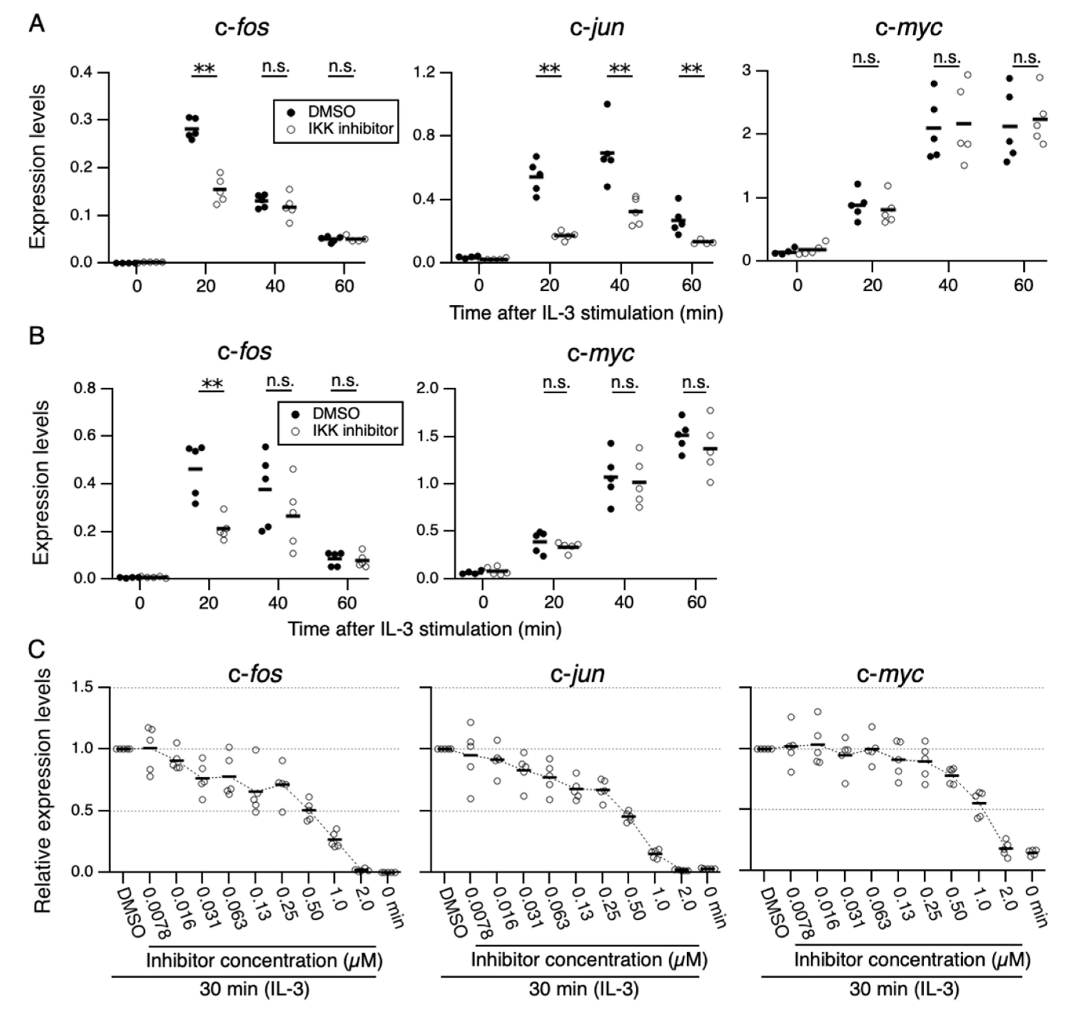 Cells 11 01451 g001 Cells 11 01451 g001