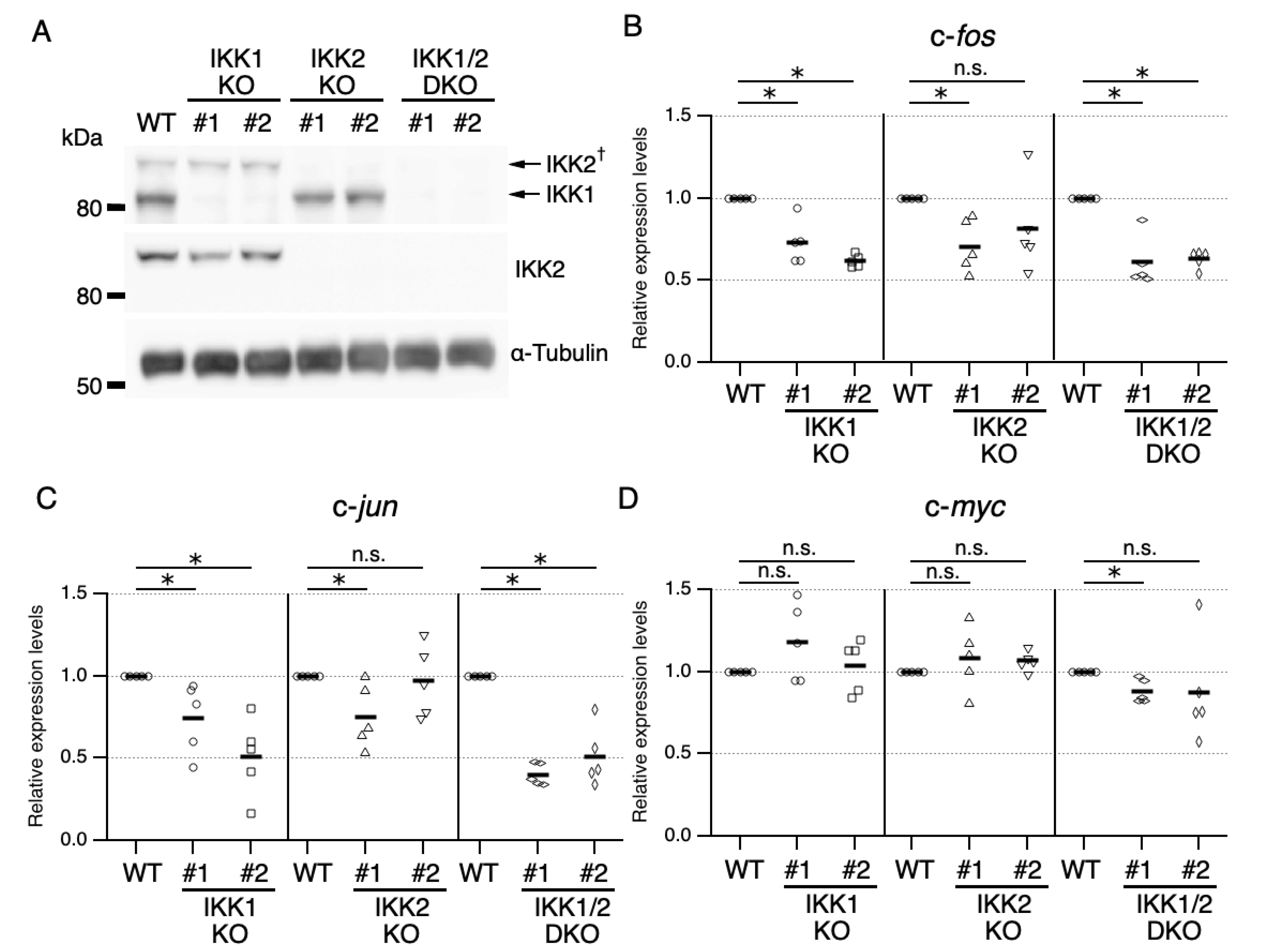 Cells 11 01451 g002 Cells 11 01451 g002