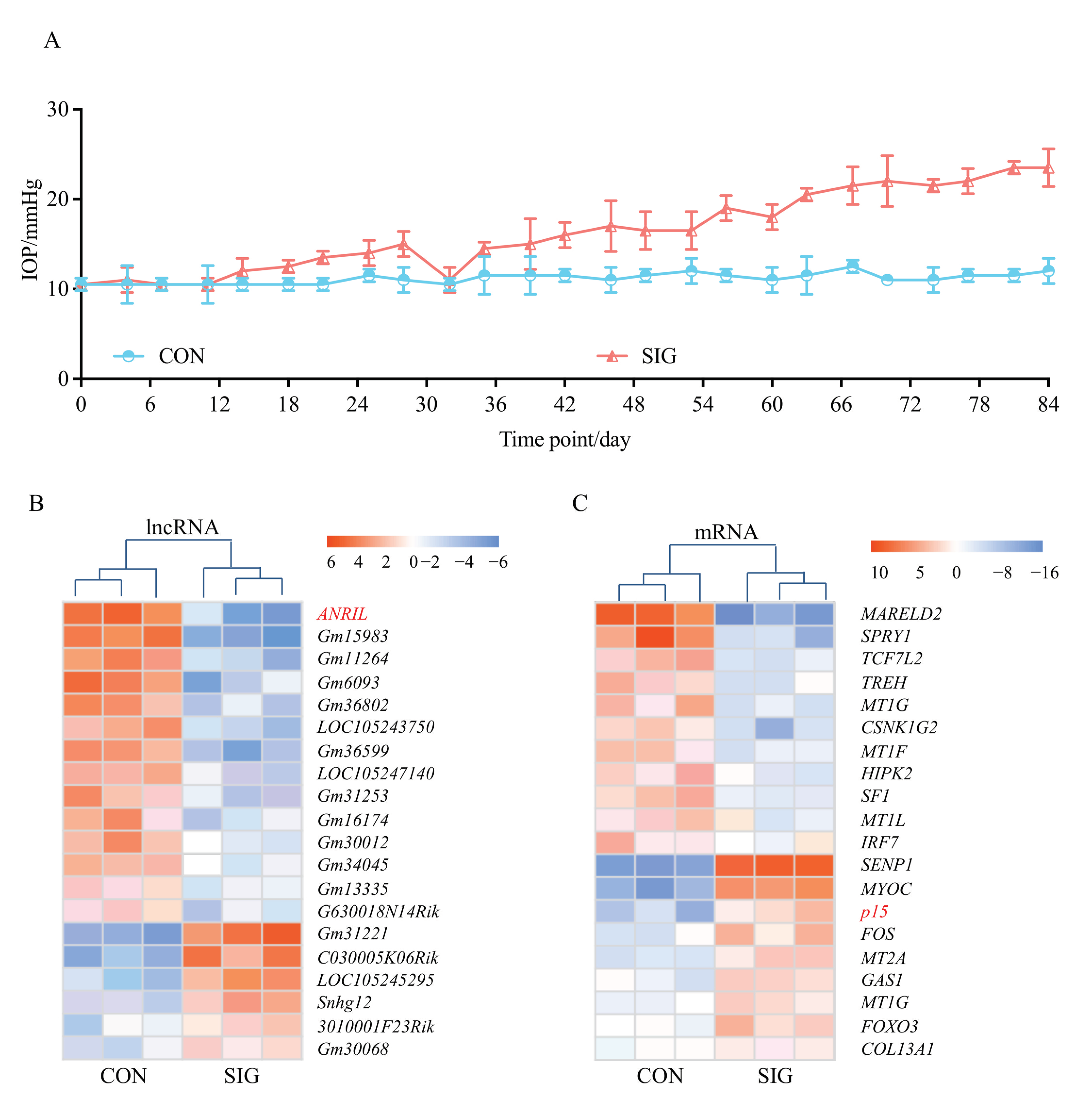 Cells 11 01468 g001 Cells 11 01468 g001