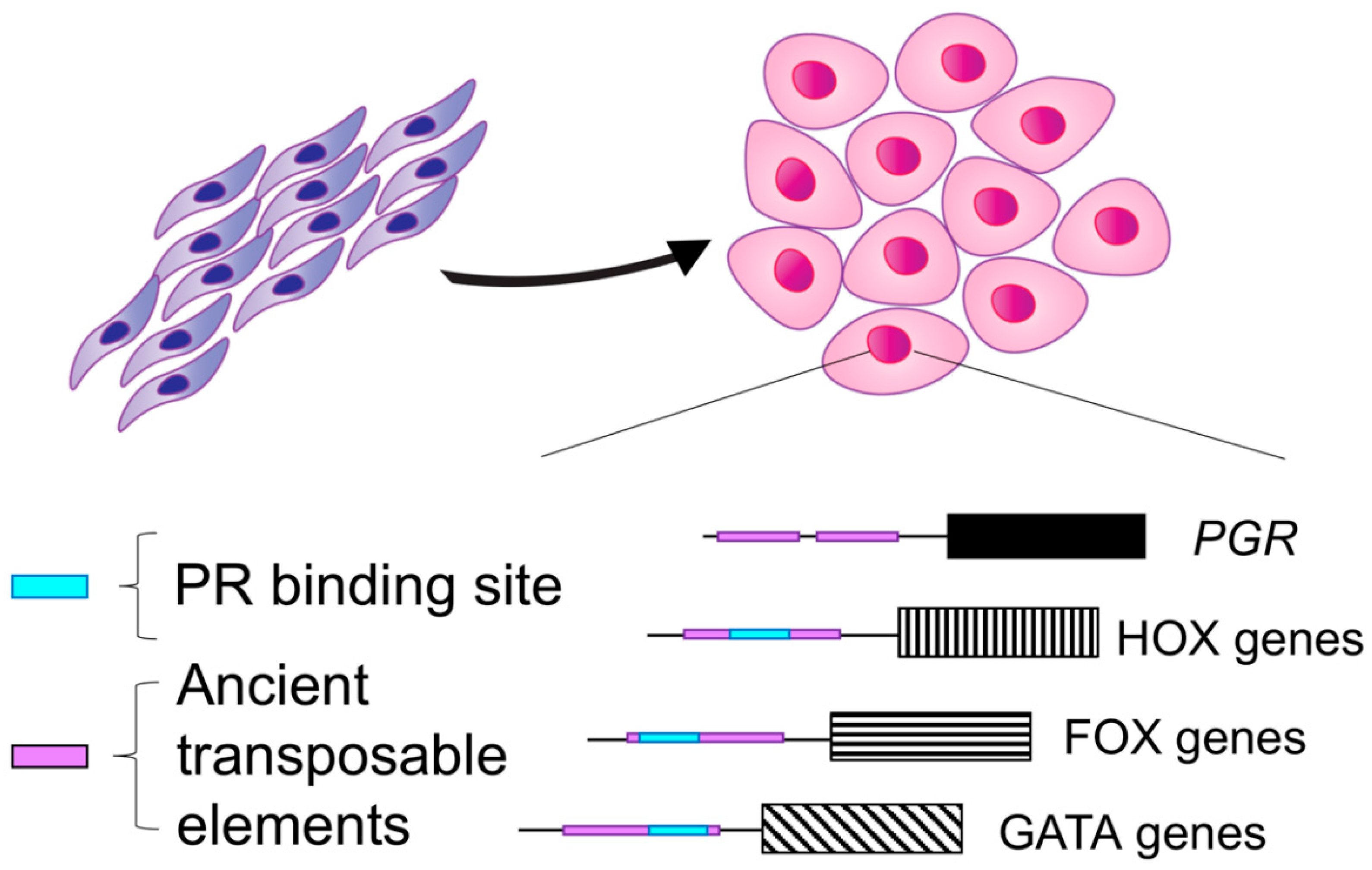 Cells 11 01474 g001 Cells 11 01474 g001