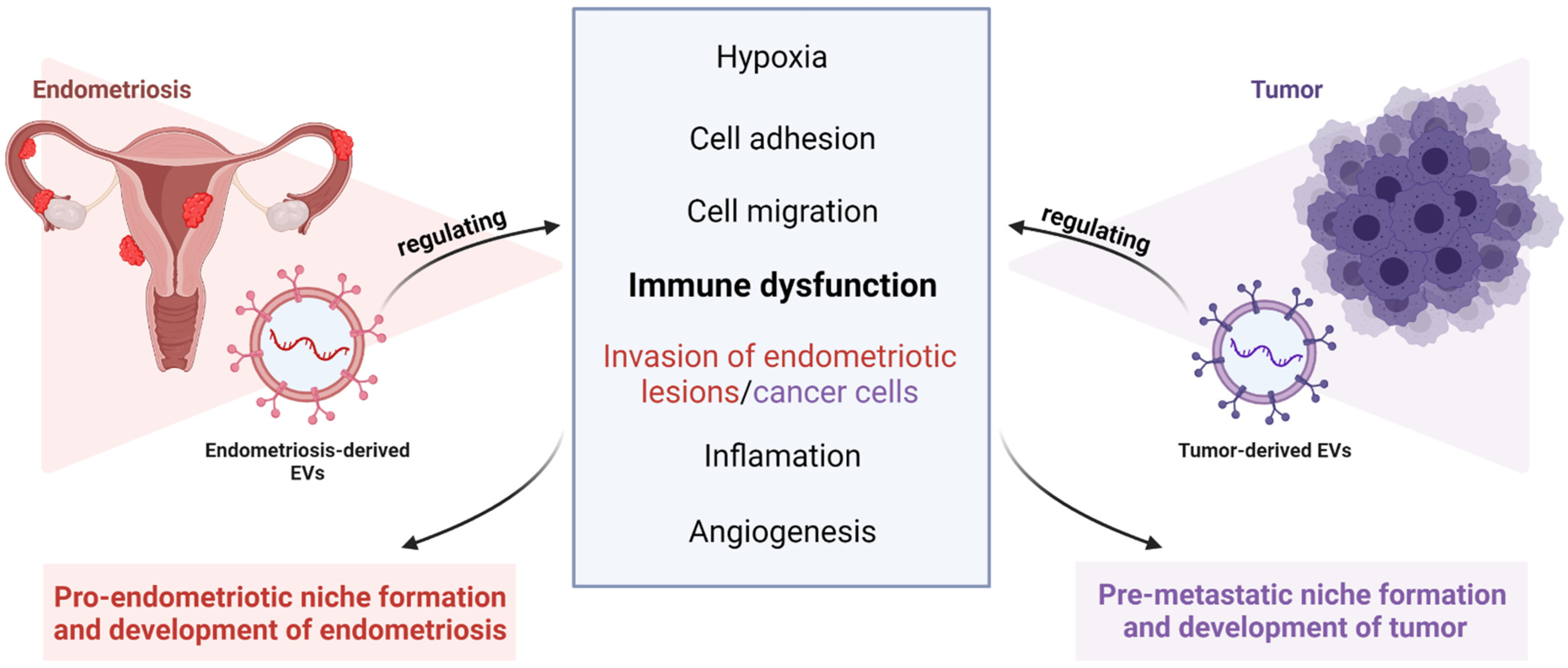 Cells 11 01483 g001 Cells 11 01483 g001