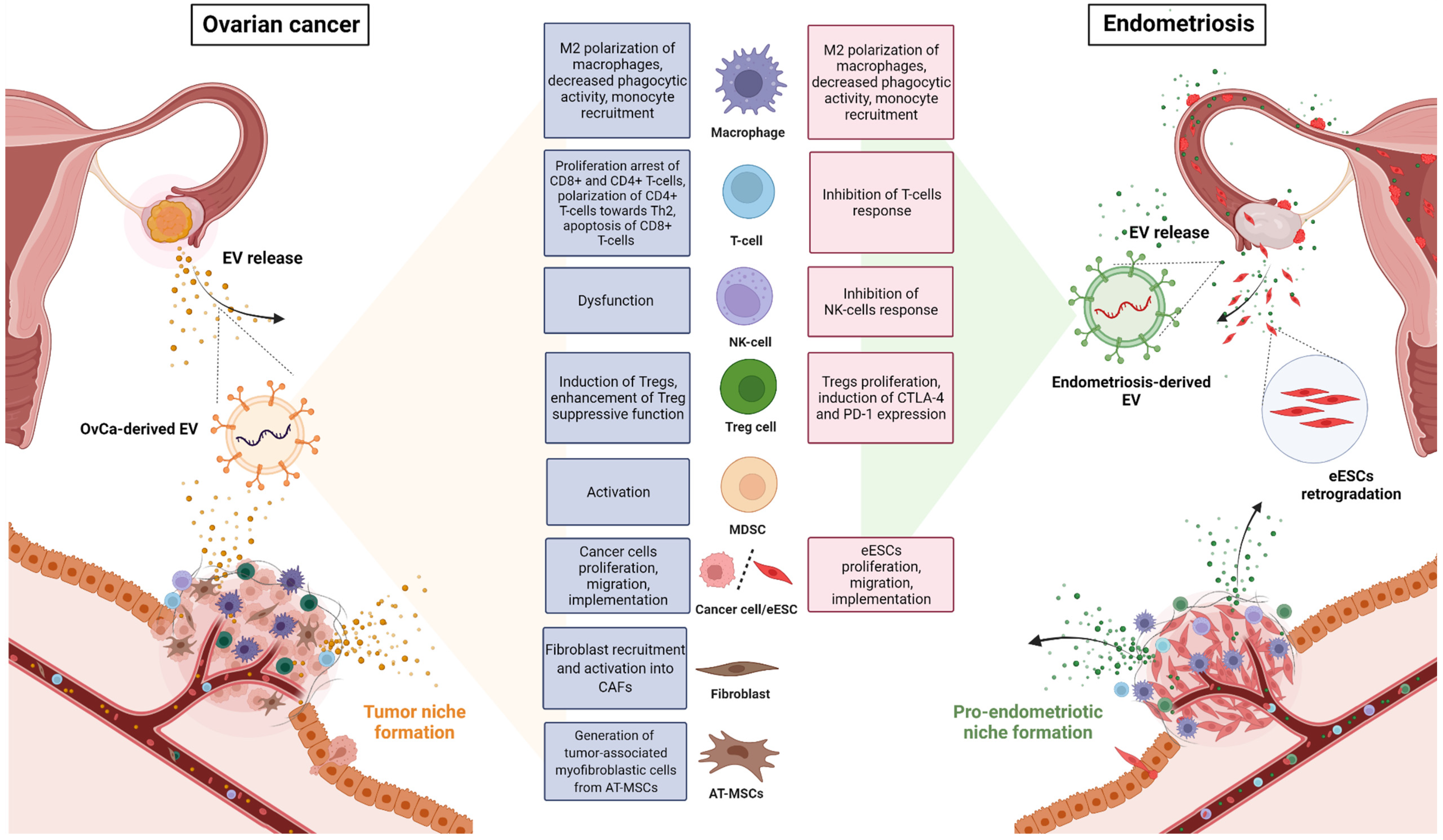 Cells 11 01483 g002 Cells 11 01483 g002