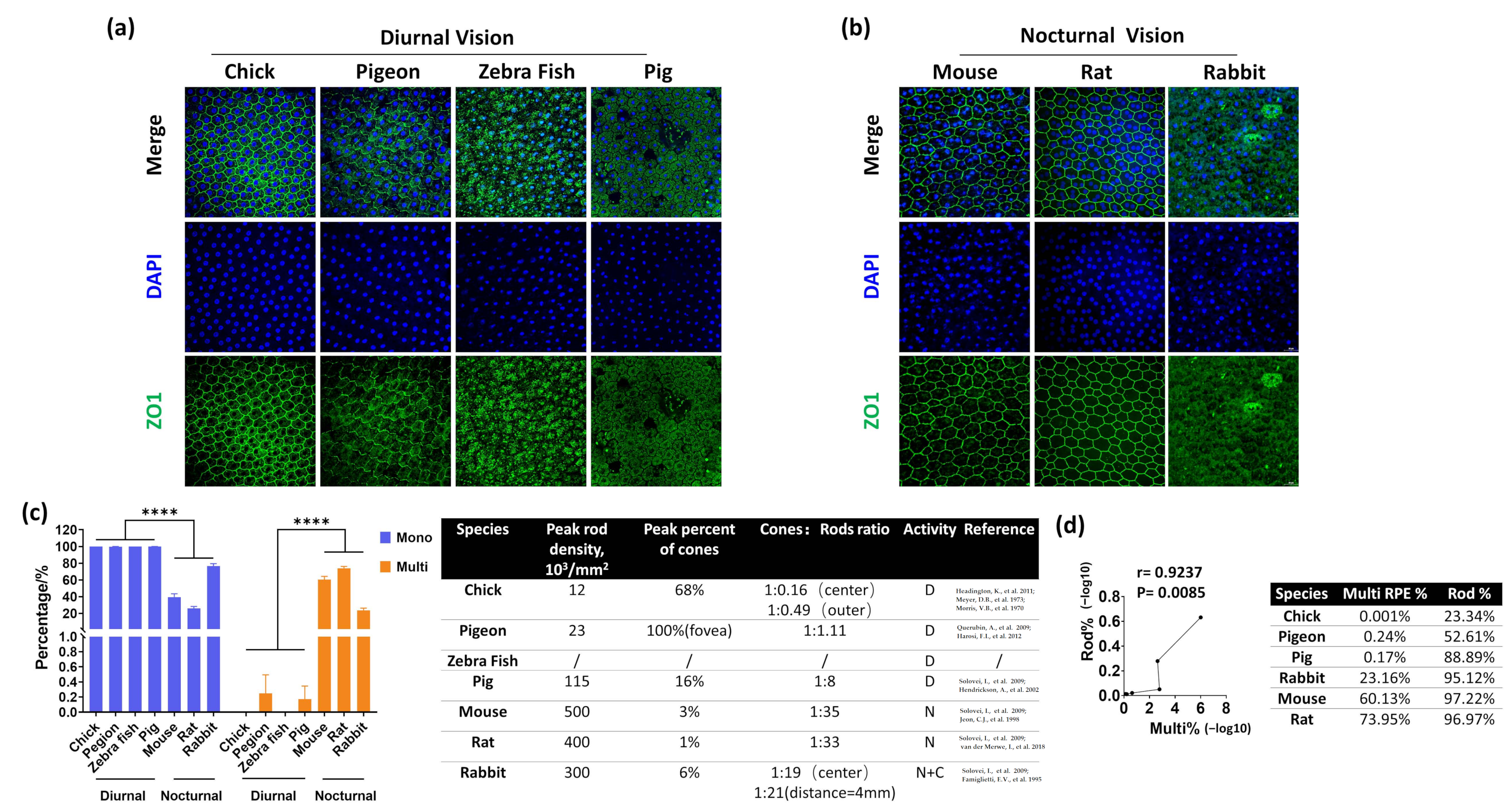 Cells 11 01552 g002 Cells 11 01552 g002
