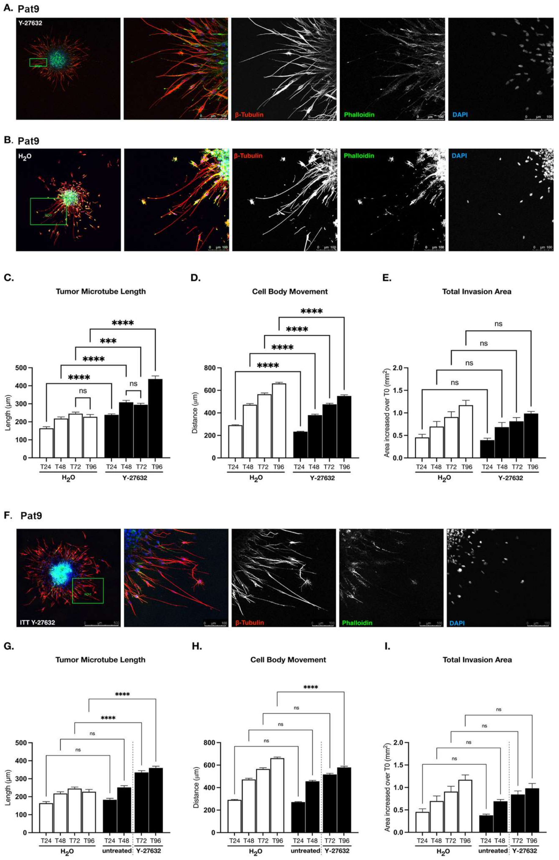 Cells 11 01559 g002 Cells 11 01559 g002