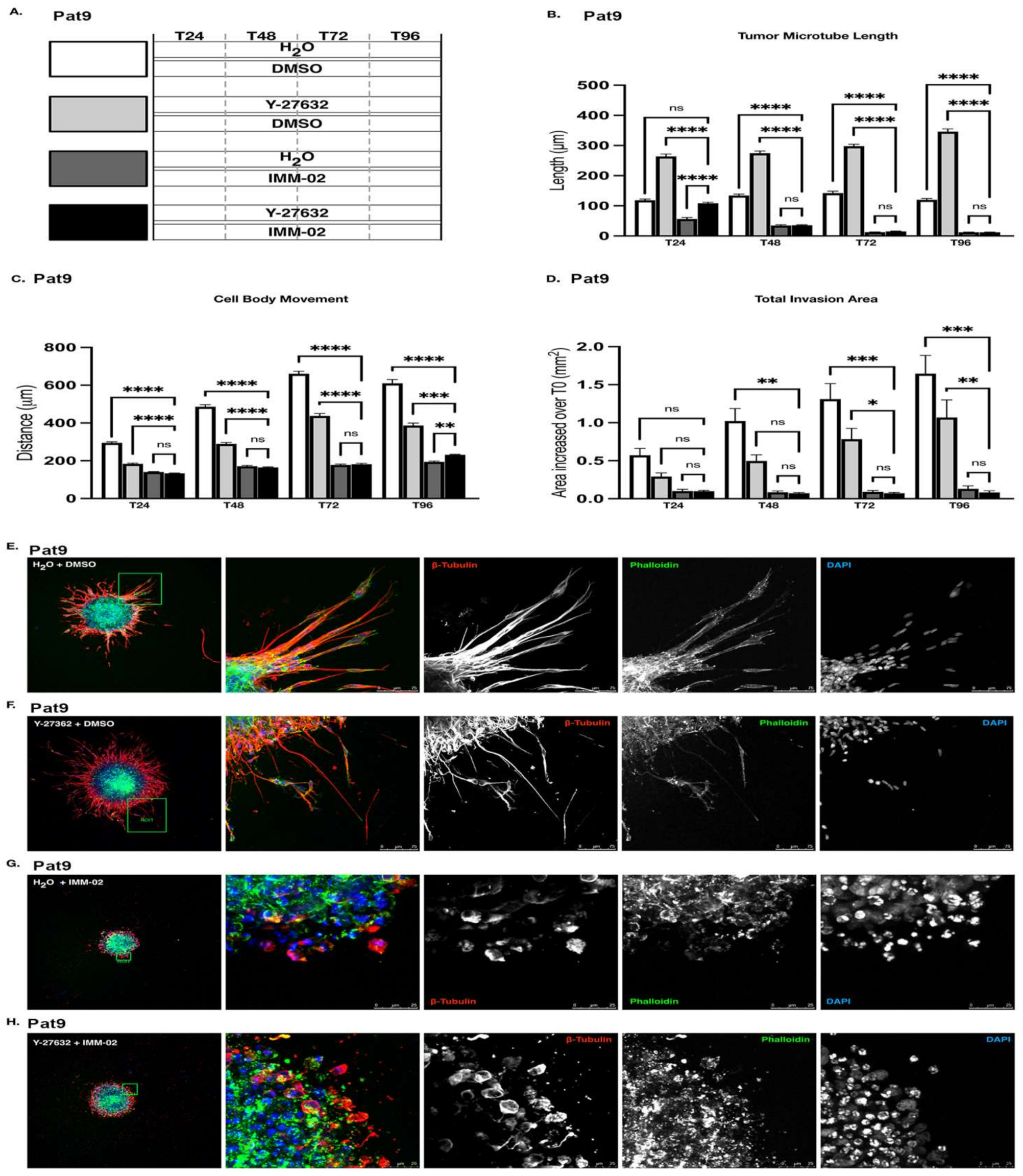 Cells 11 01559 g003 Cells 11 01559 g003