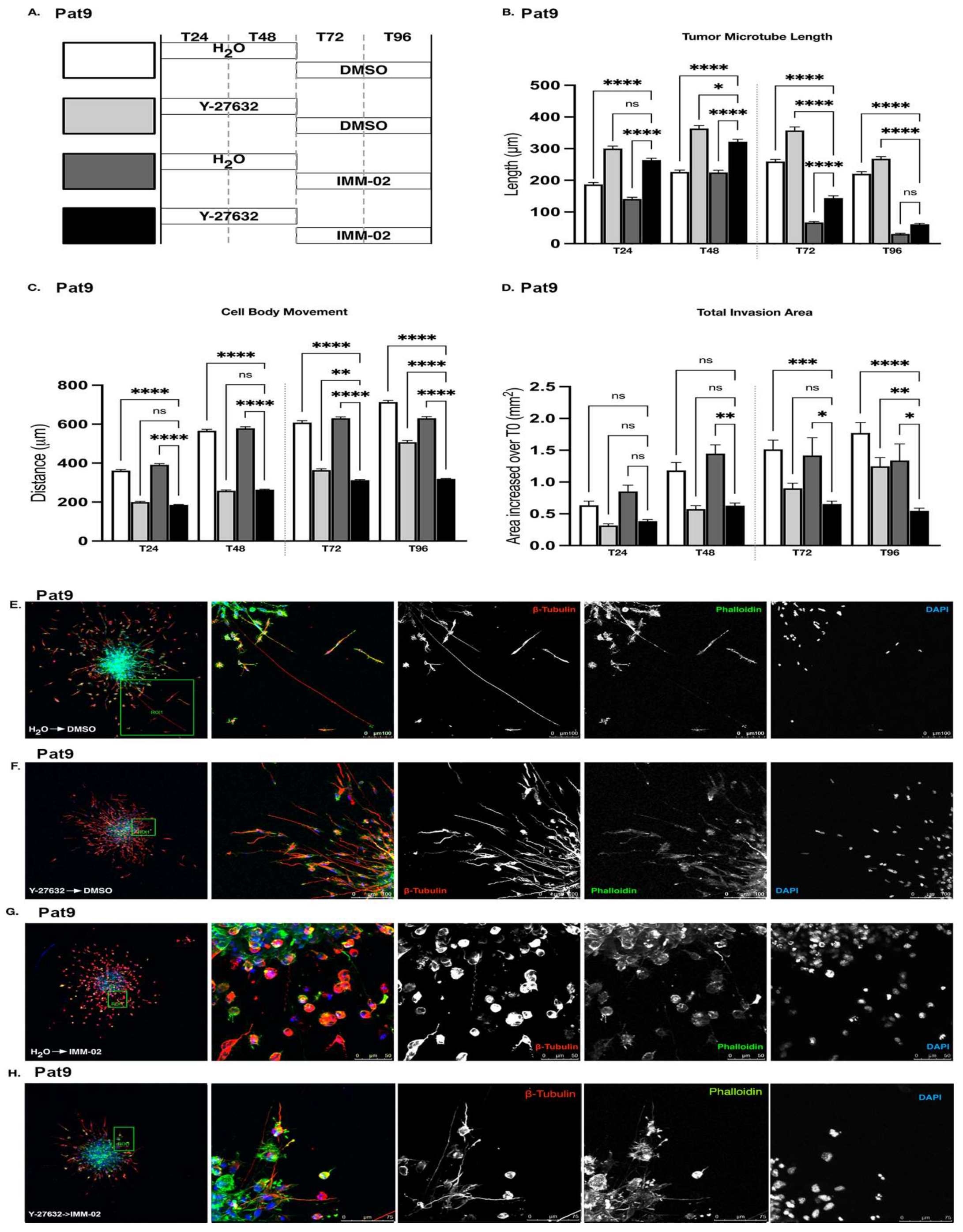 Cells 11 01559 g004 Cells 11 01559 g004