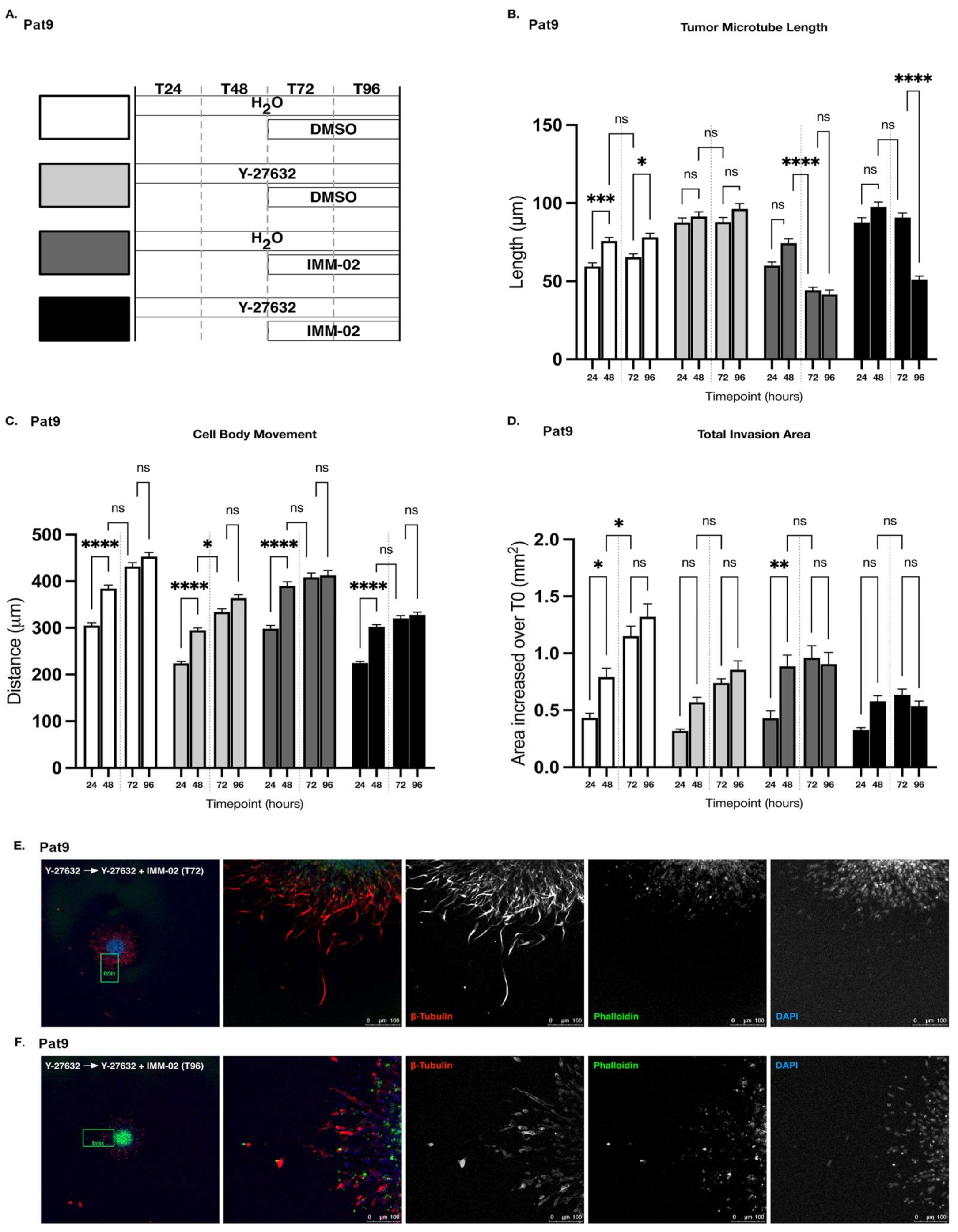 Cells 11 01559 g005 Cells 11 01559 g005
