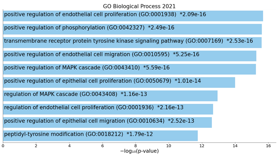 Cells 11 01564 g007