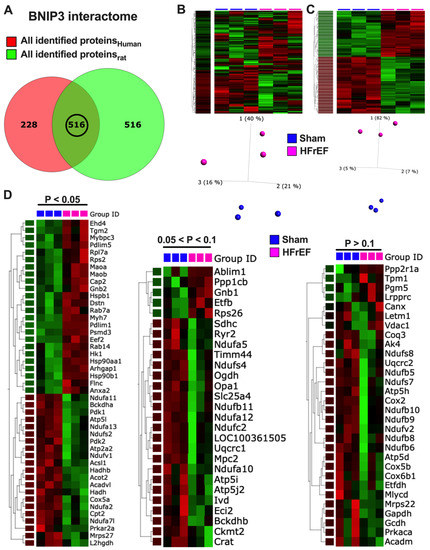 Cells 11 01572 g007a Cells 11 01572 g007a