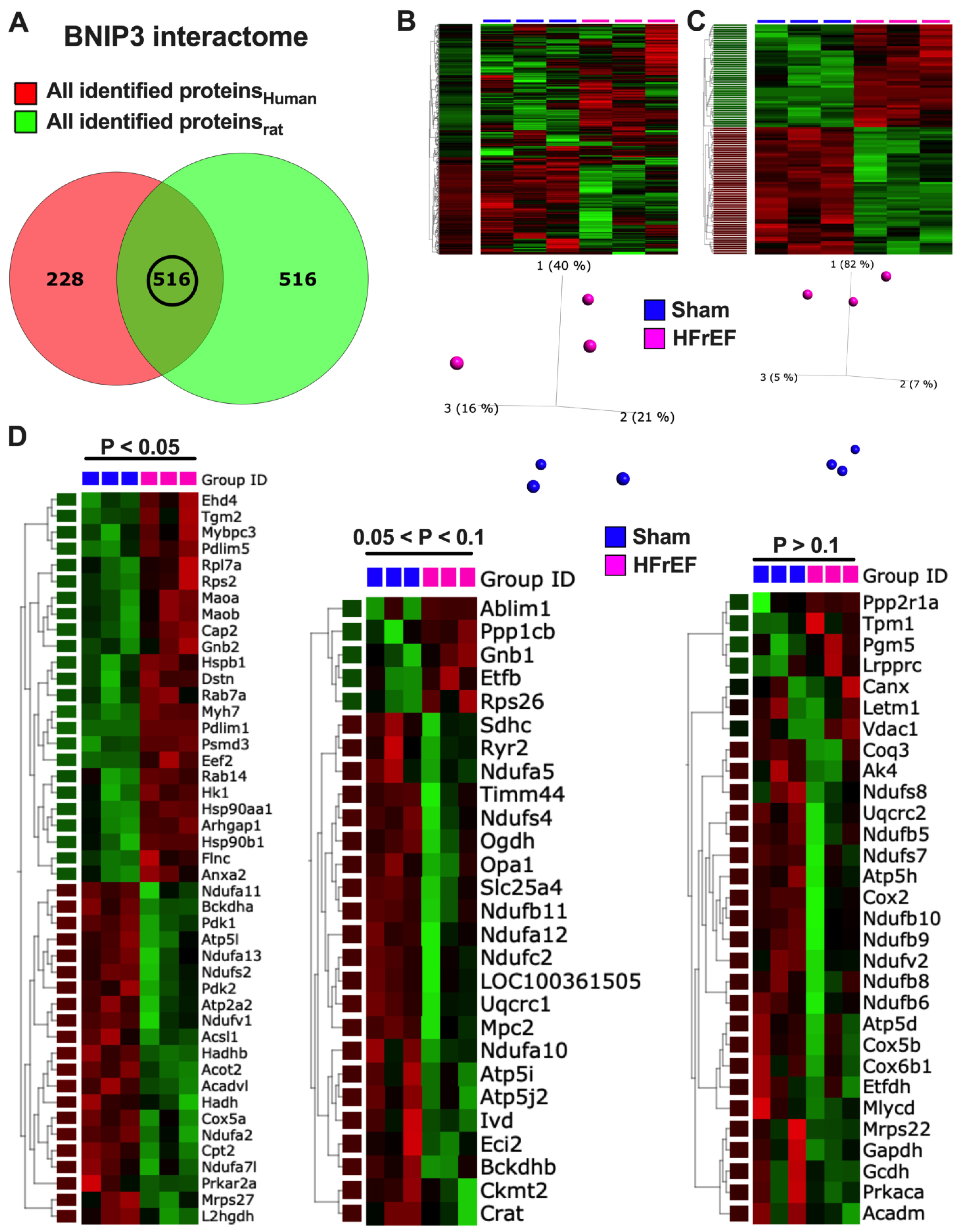 Cells 11 01572 g007a Cells 11 01572 g007a