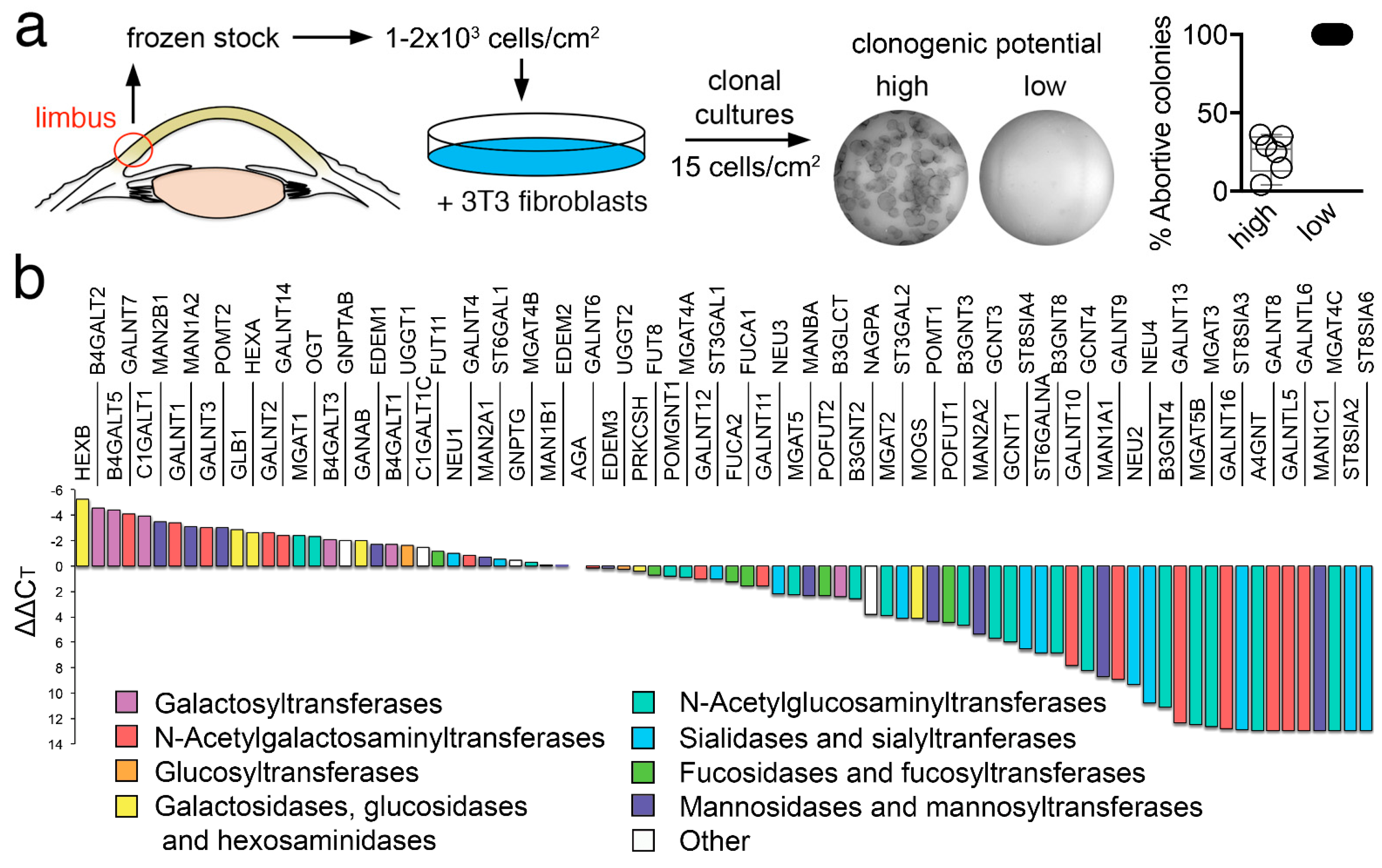 Cells 11 01575 g001 Cells 11 01575 g001