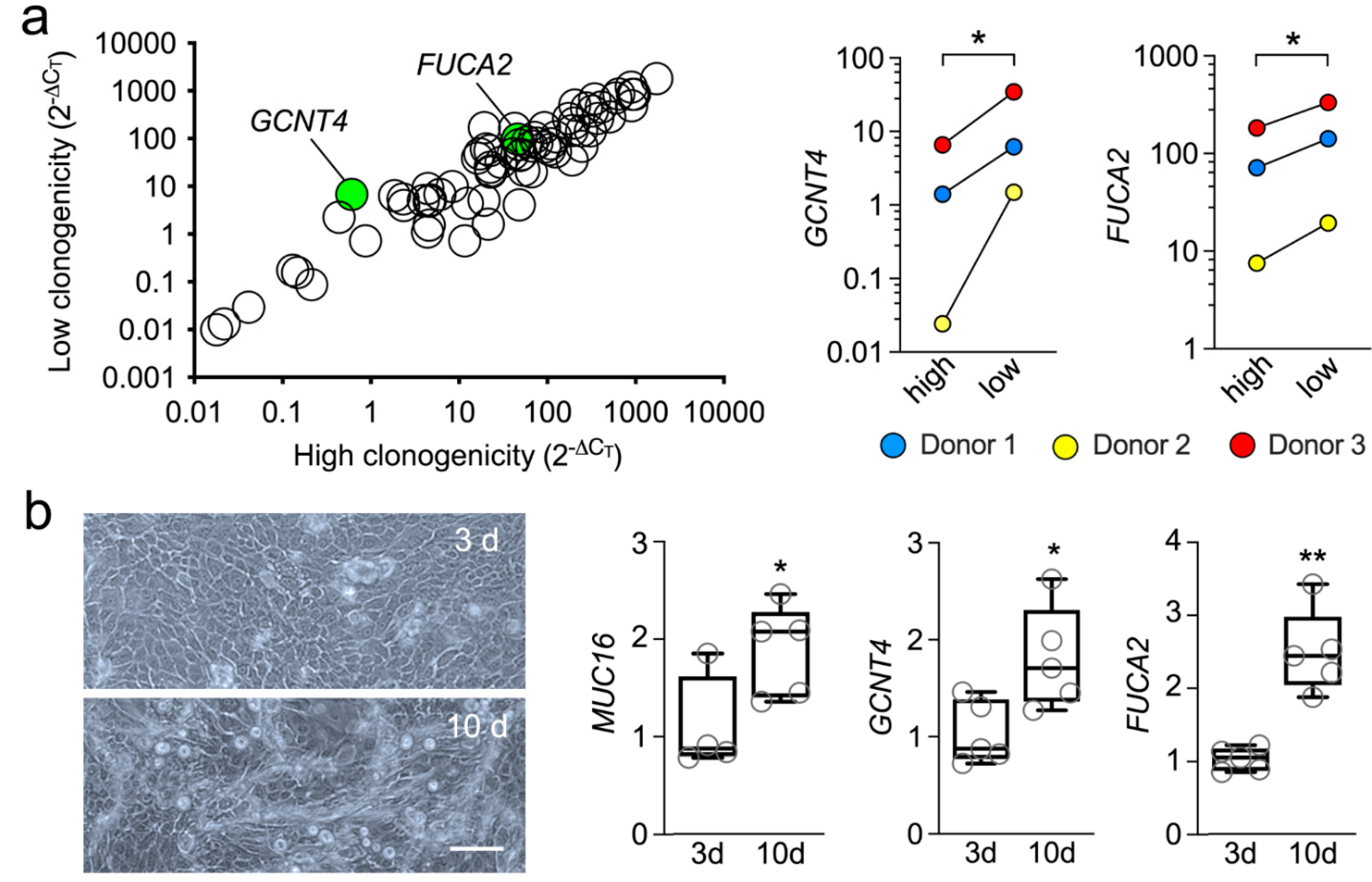 Cells 11 01575 g002 Cells 11 01575 g002