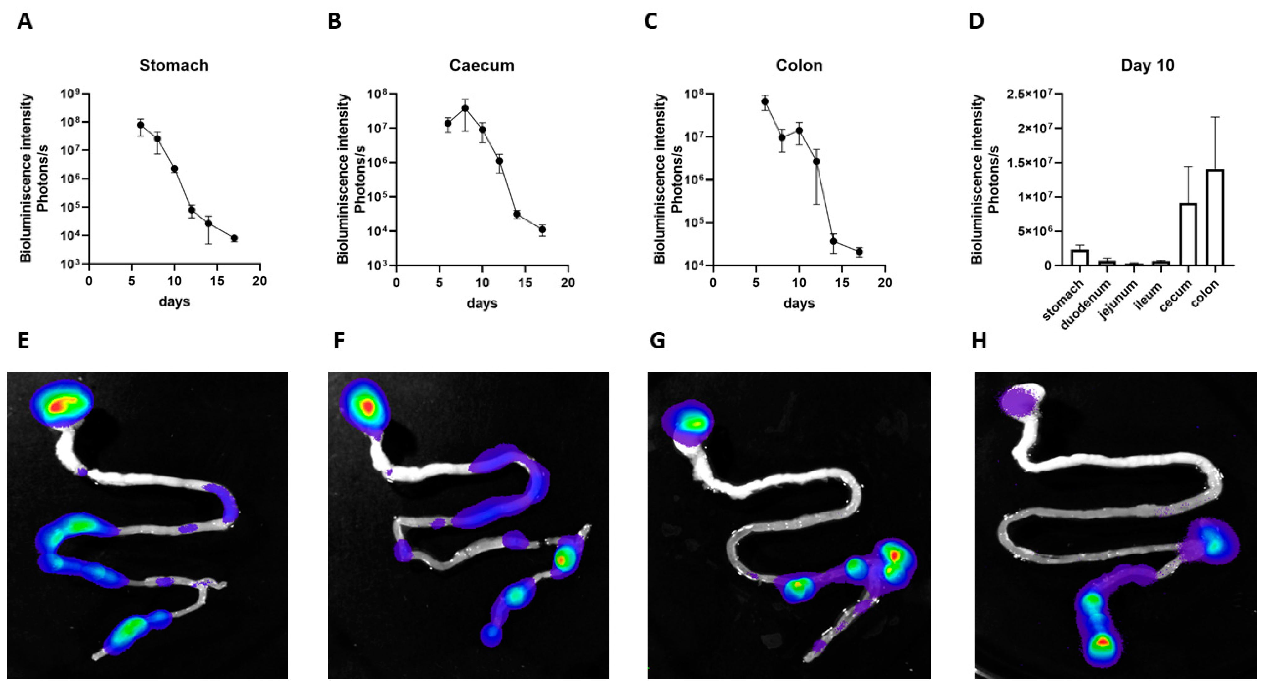 Cells 11 01624 g004 Cells 11 01624 g004