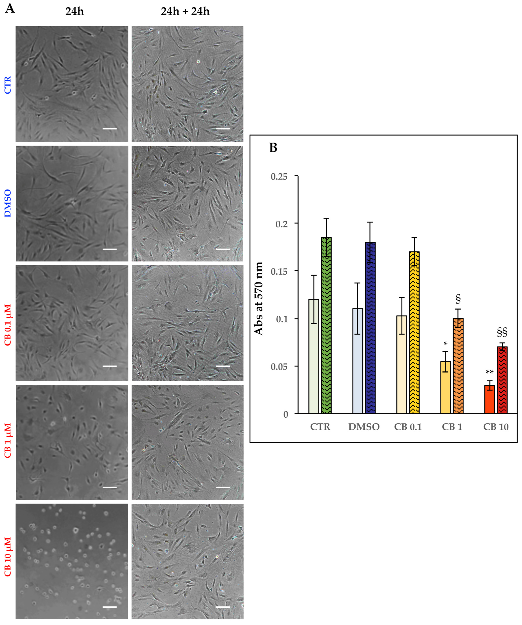 Cells 11 01629 g005 Cells 11 01629 g005