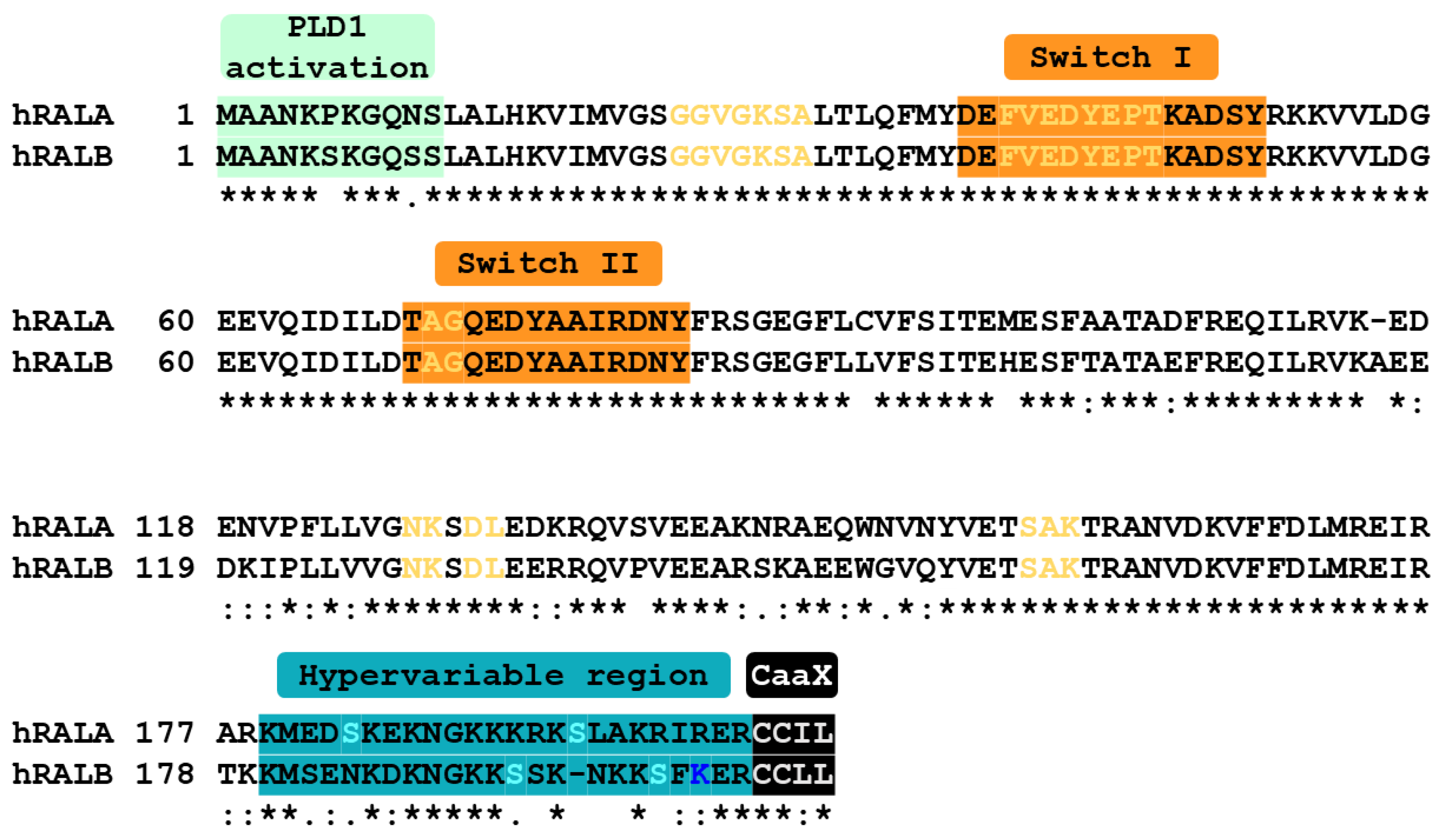 Cells 11 01645 g001 Cells 11 01645 g001