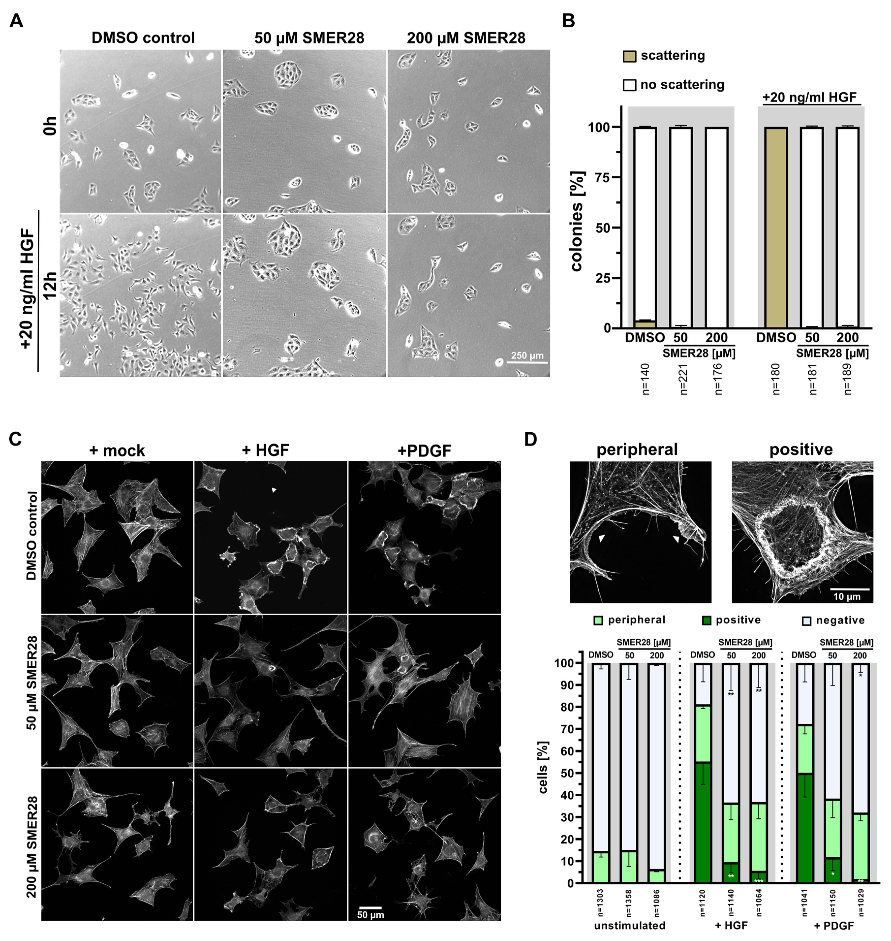 Cells 11 01648 g004 Cells 11 01648 g004