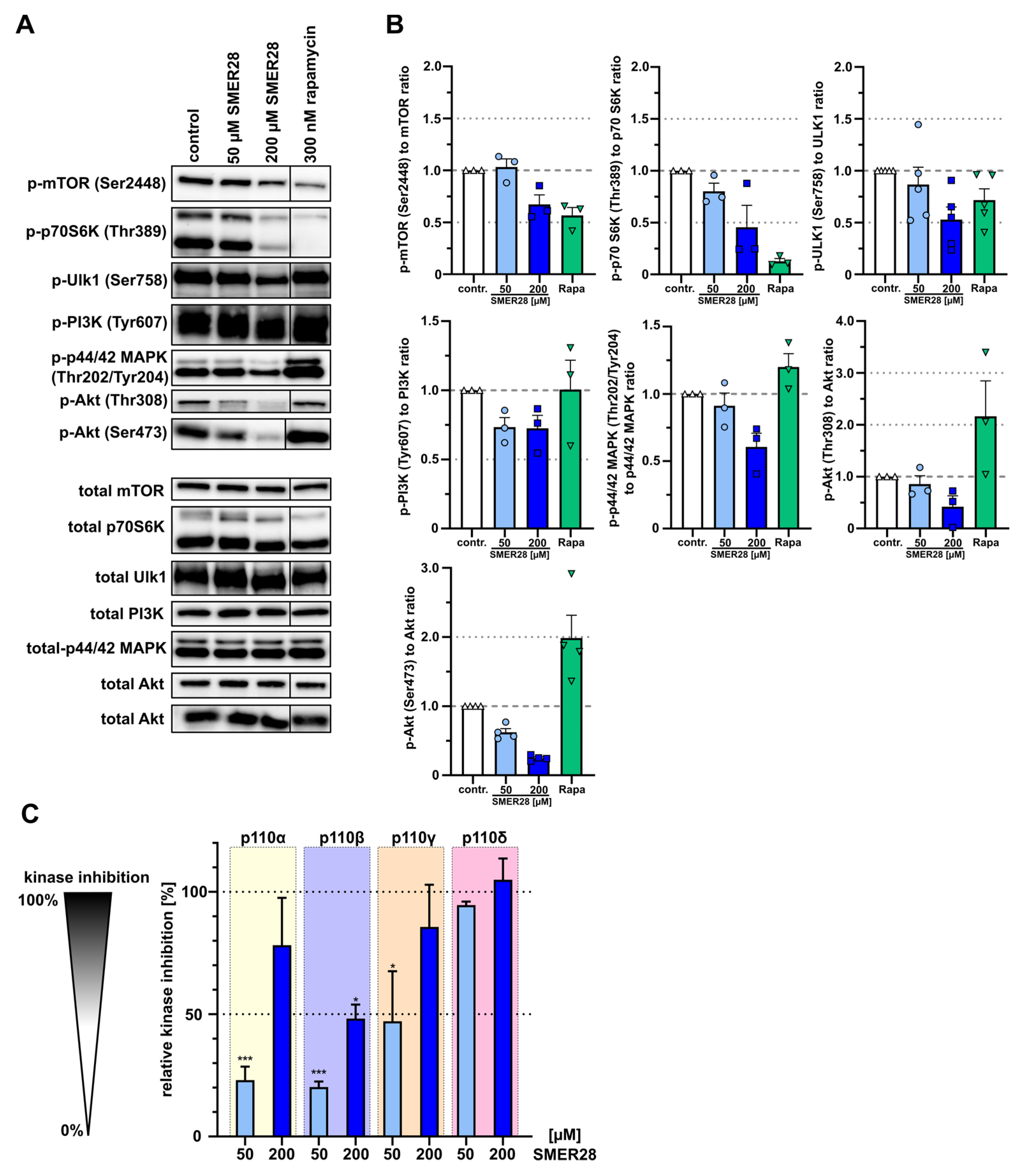 Cells 11 01648 g005 Cells 11 01648 g005