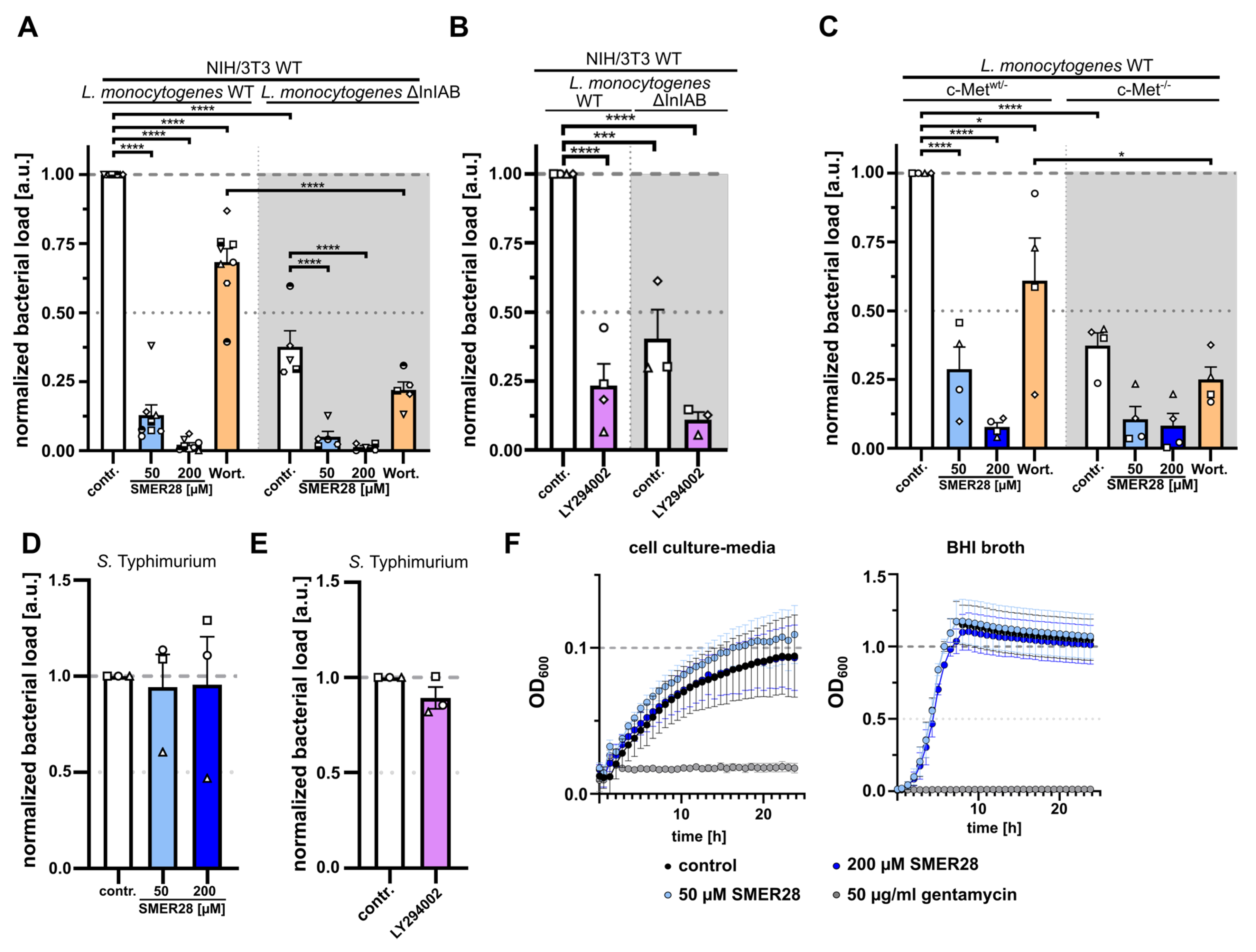 Cells 11 01648 g006 Cells 11 01648 g006