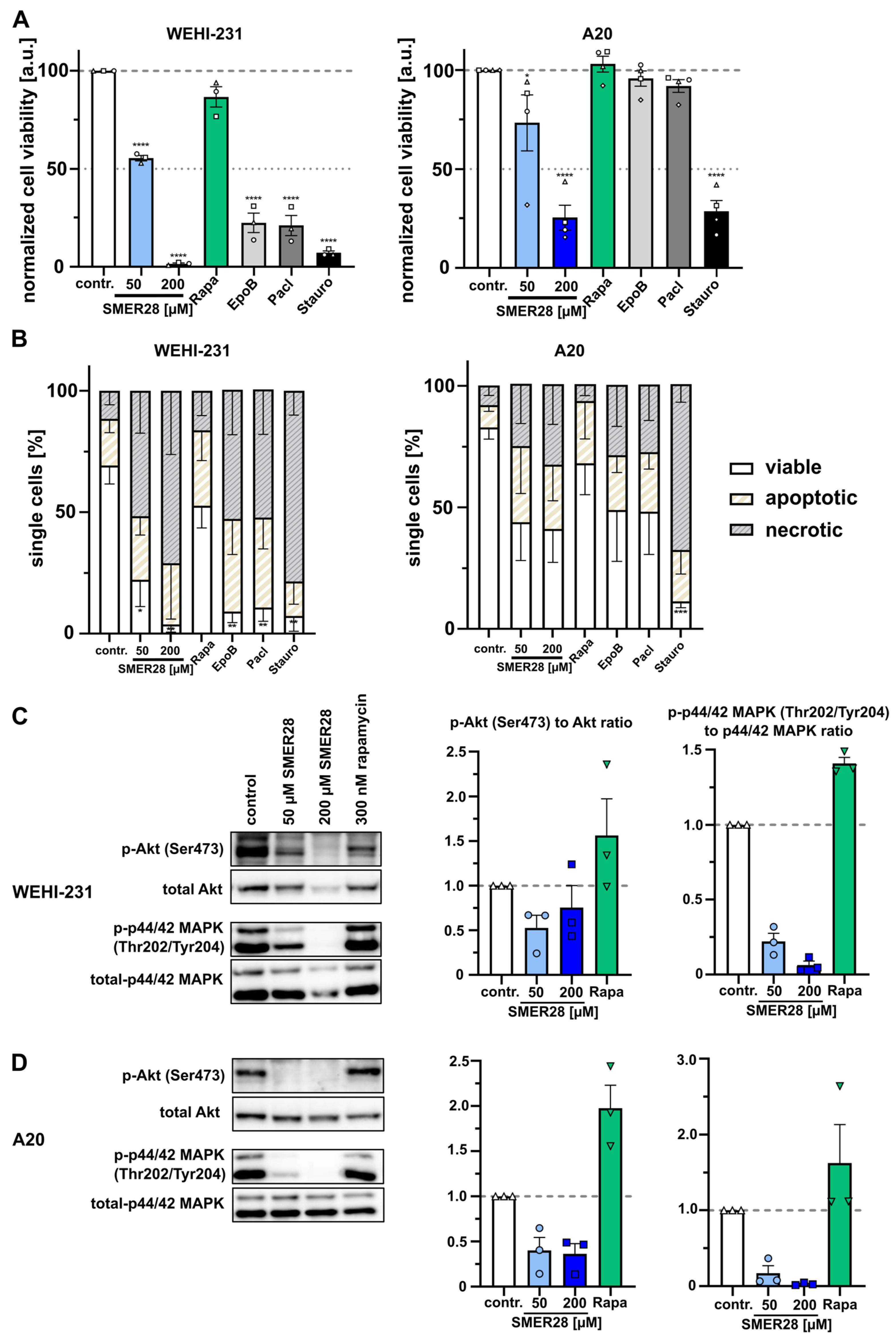 Cells 11 01648 g007 Cells 11 01648 g007