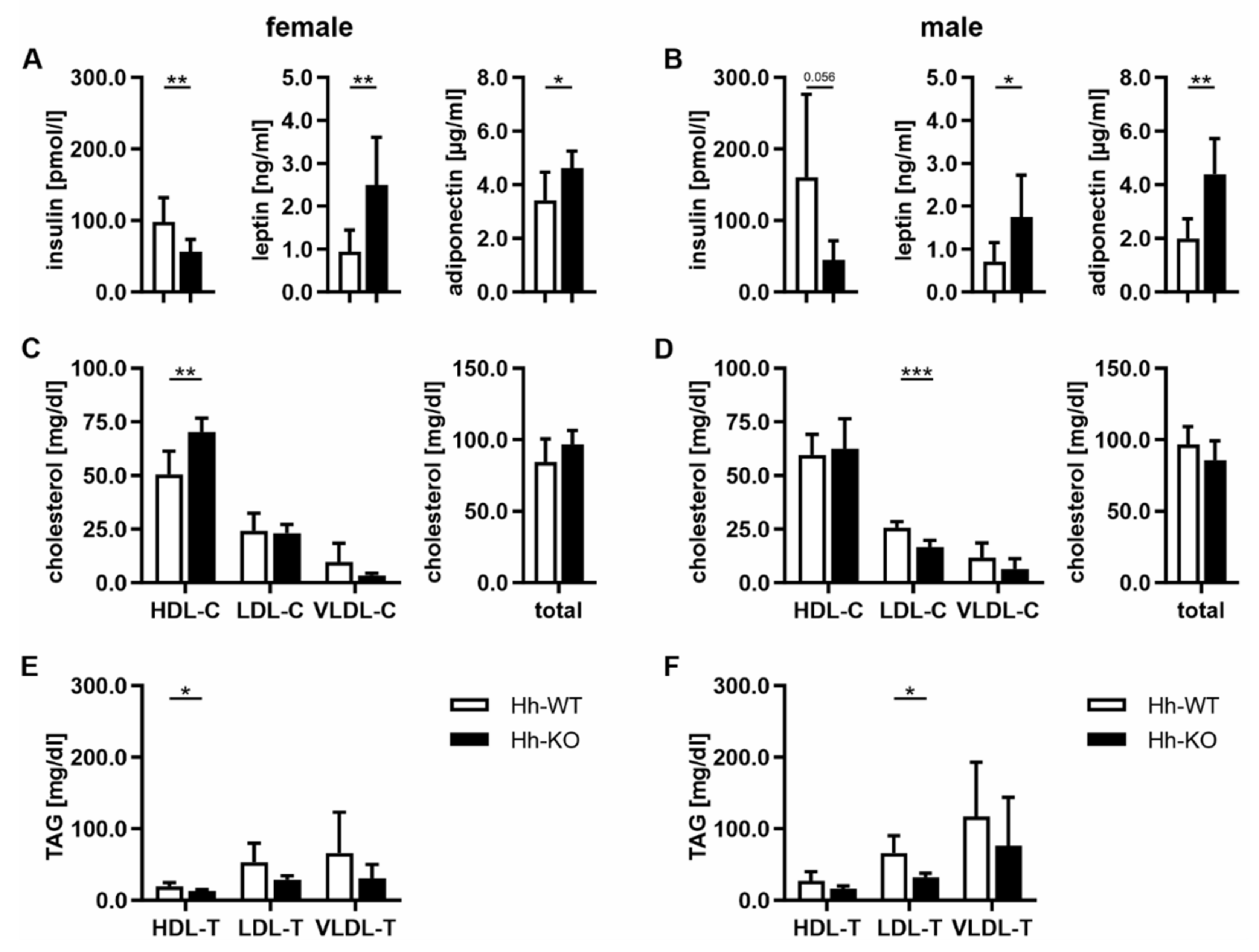 Cells 11 01680 g003 Cells 11 01680 g003