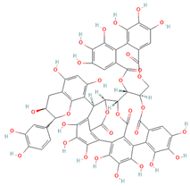 Cells 11 01696 i003