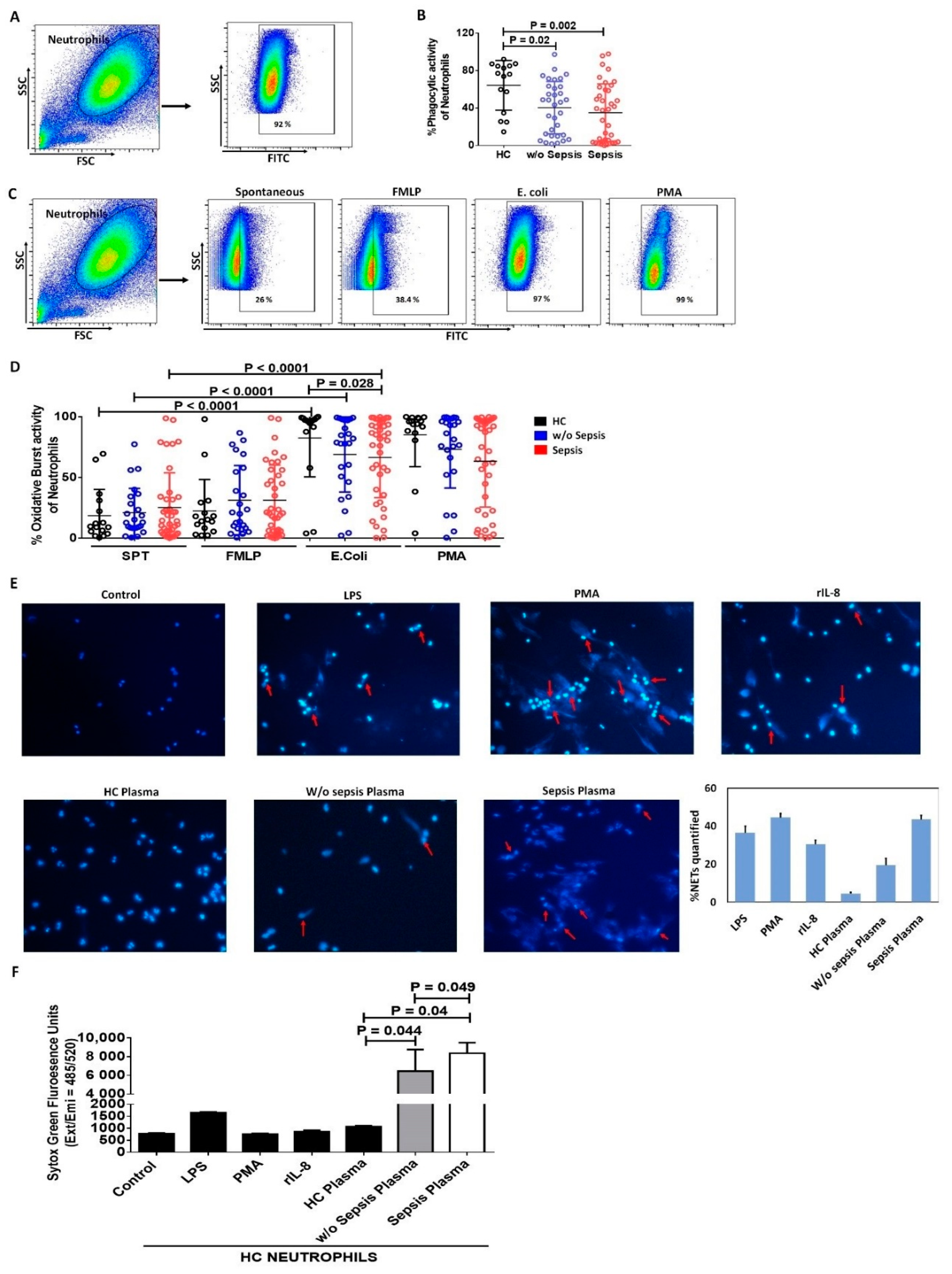 Cells 11 01745 g002 Cells 11 01745 g002