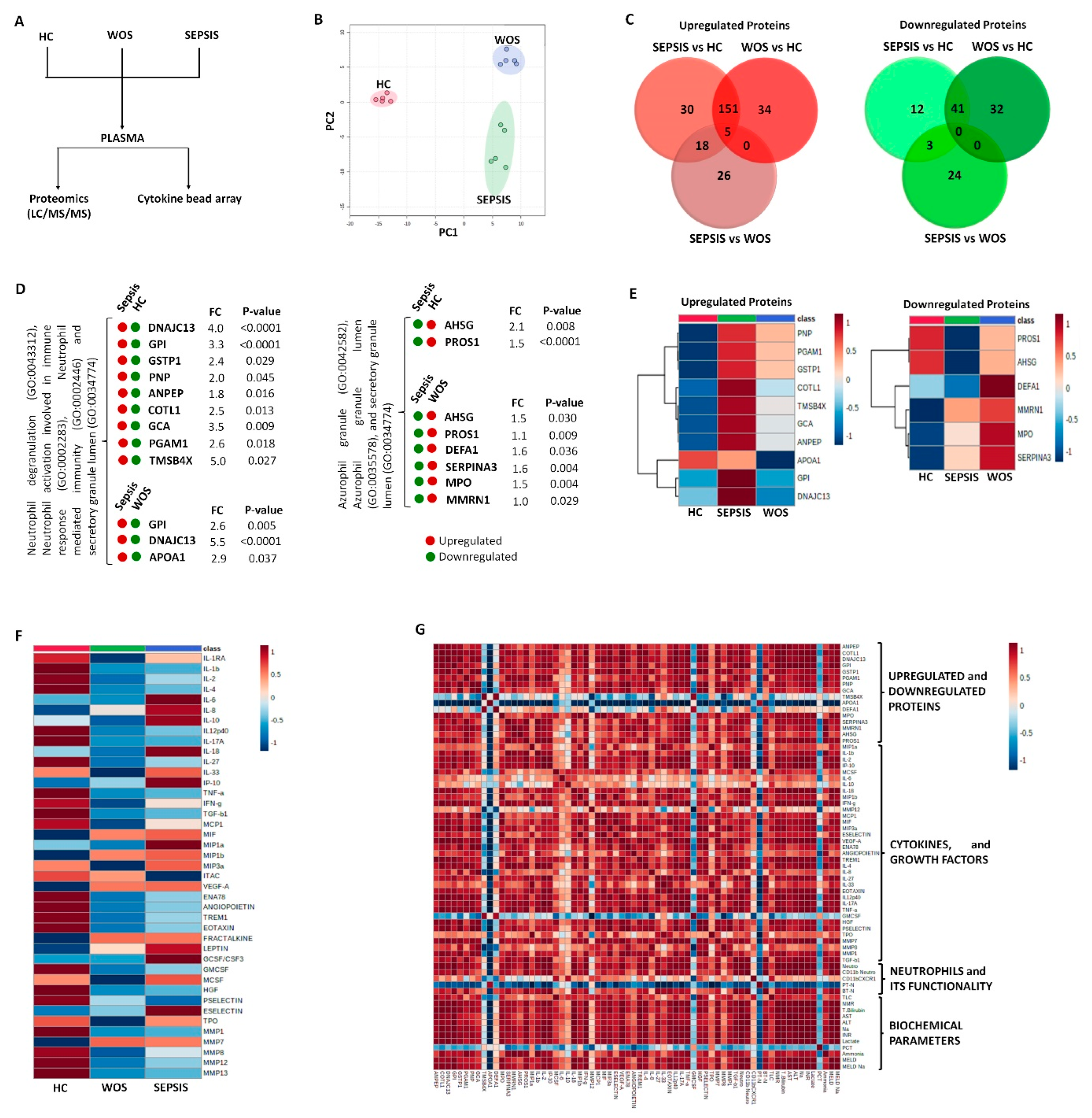 Cells 11 01745 g005 Cells 11 01745 g005