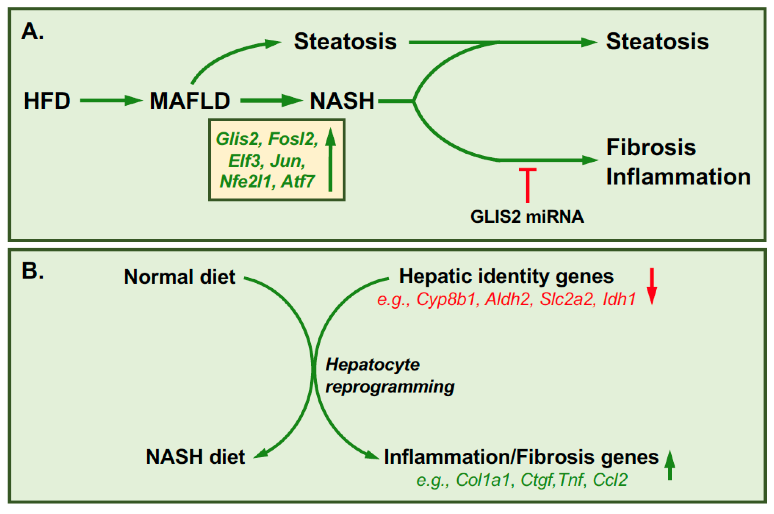 Cells 11 01833 g004 Cells 11 01833 g004