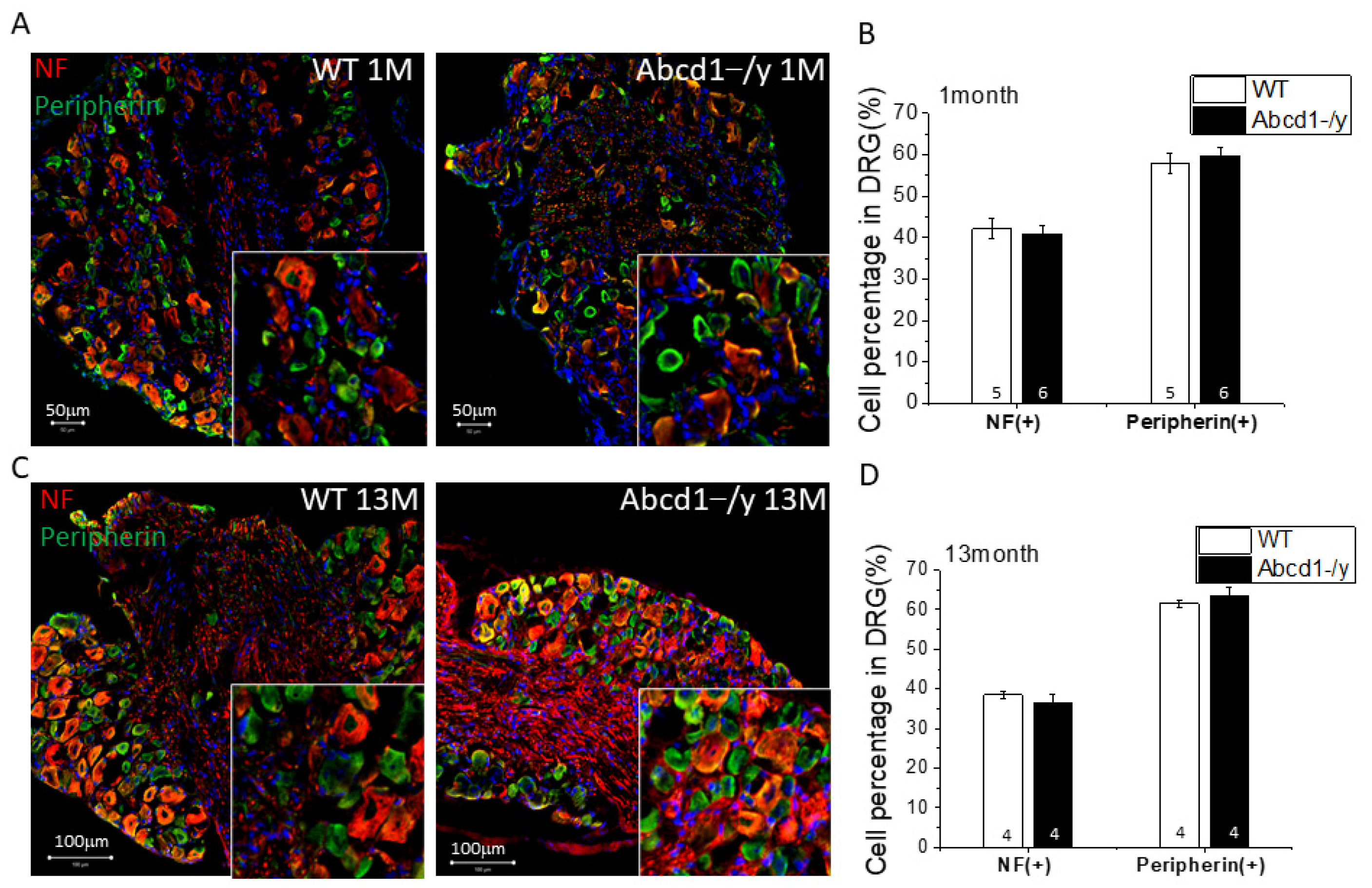 Cells 11 01842 g004a