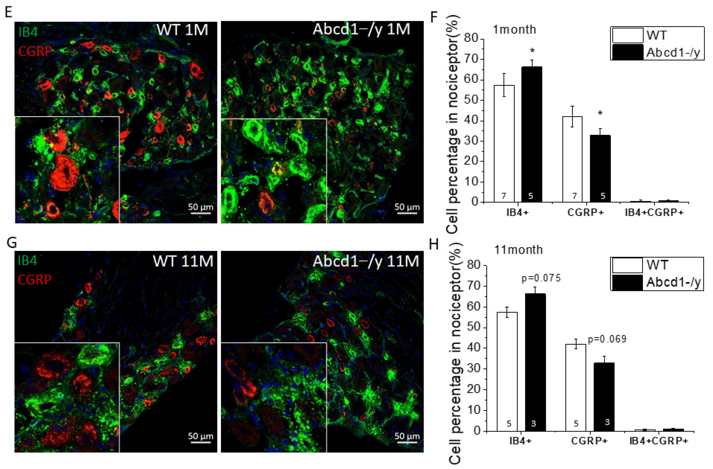 Cells 11 01842 g004b