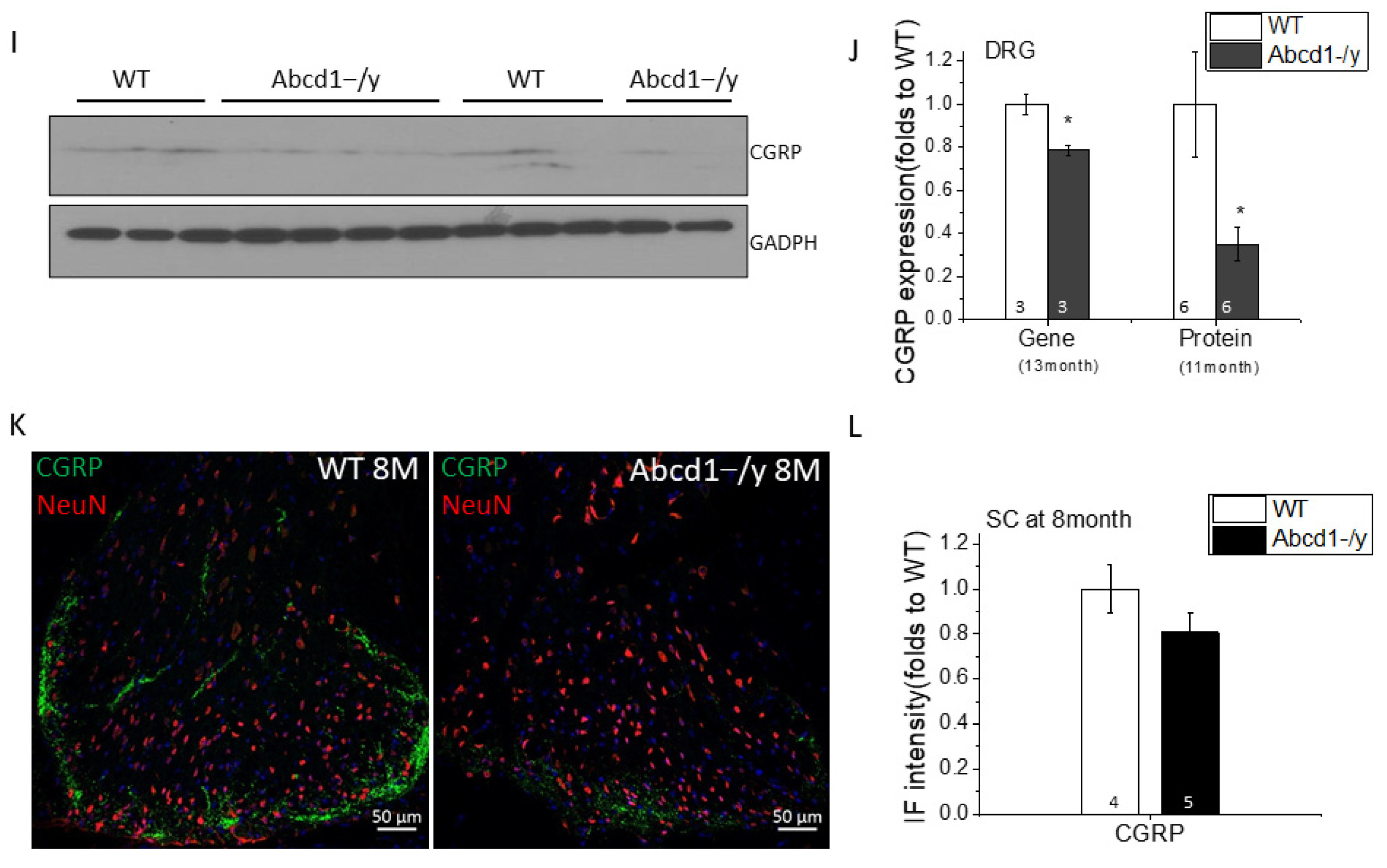 Cells 11 01842 g004c
