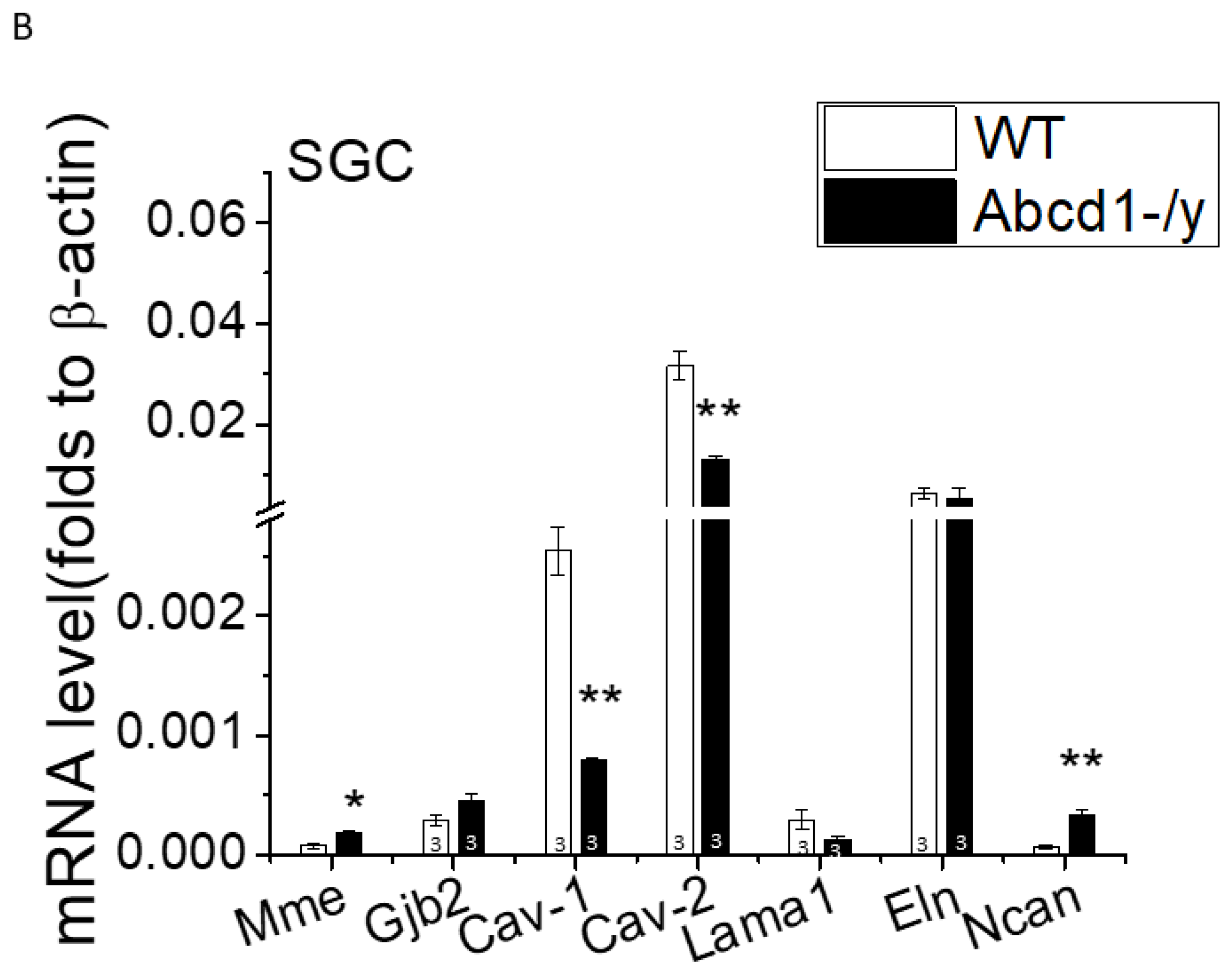 Cells 11 01842 g008b