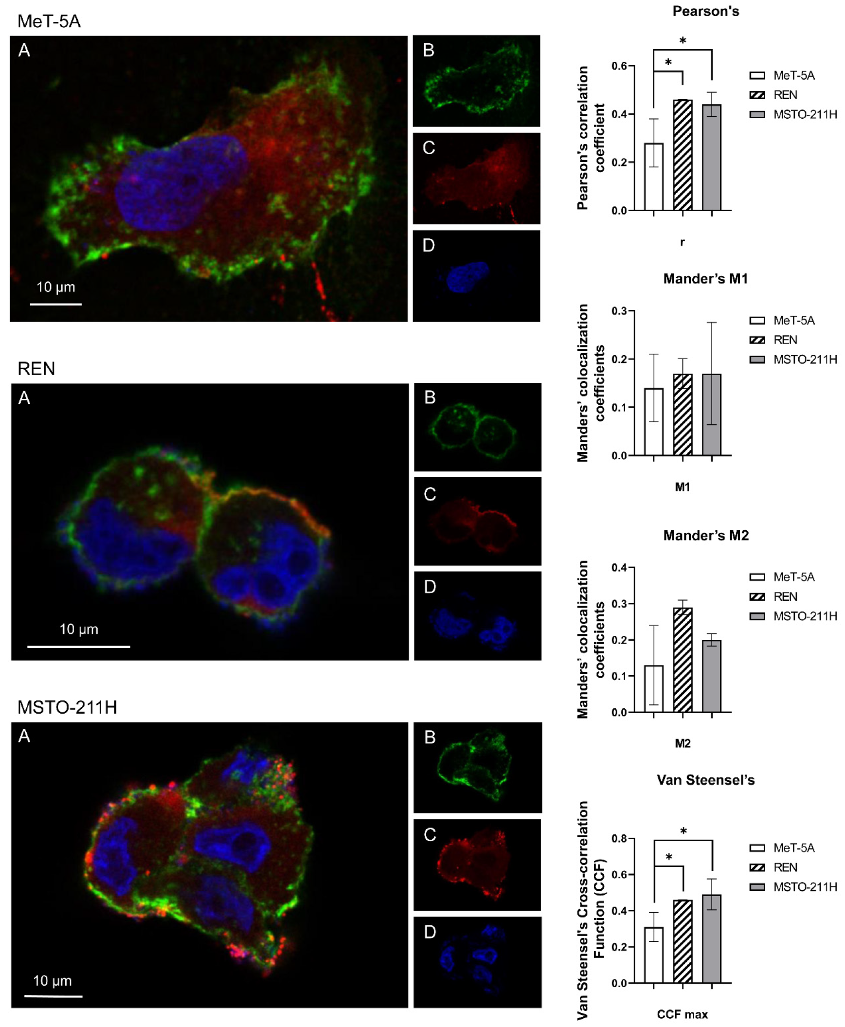 Cells 11 01892 g004 Cells 11 01892 g004