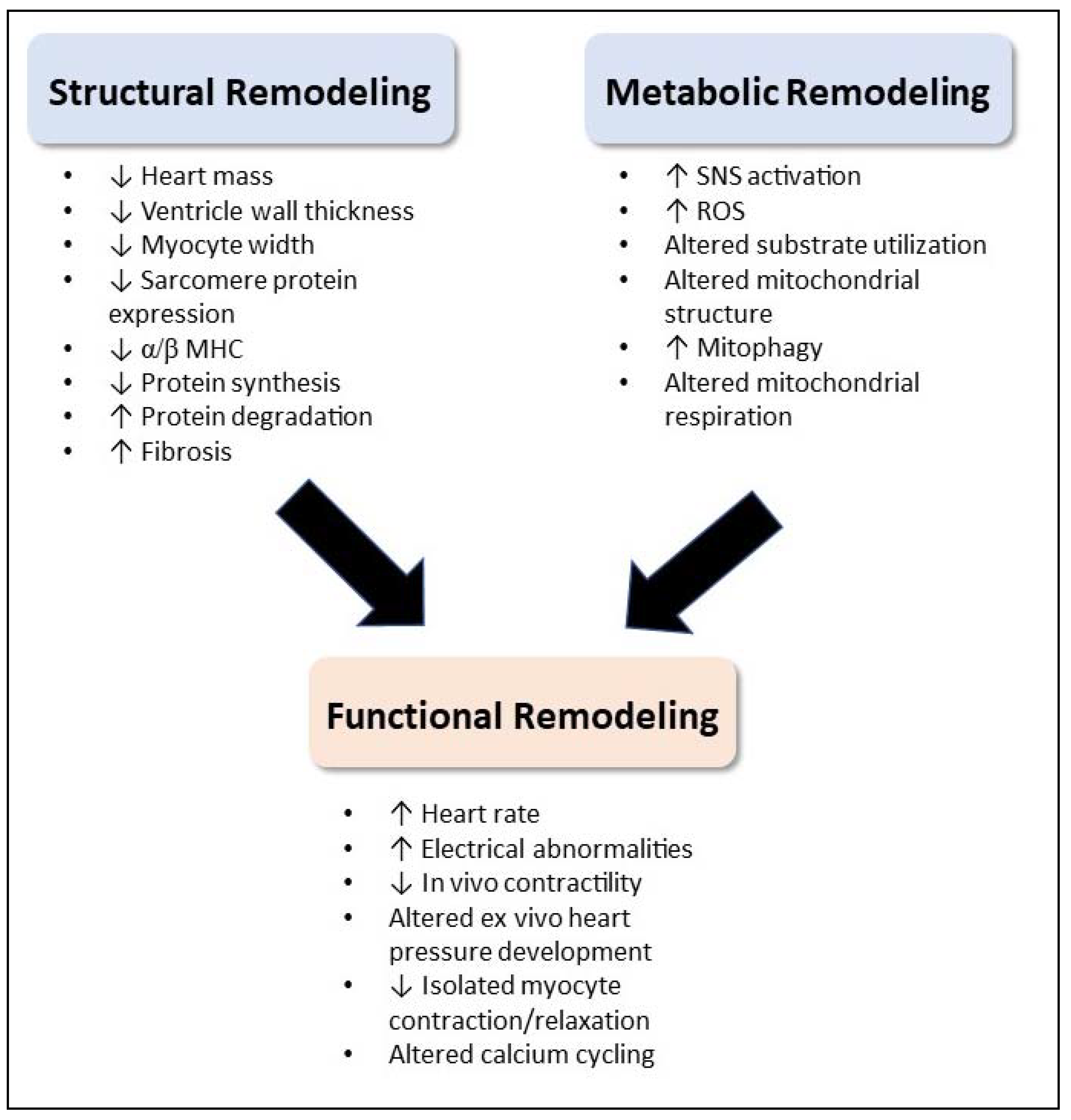 Cells 11 01931 g003 Cells 11 01931 g003