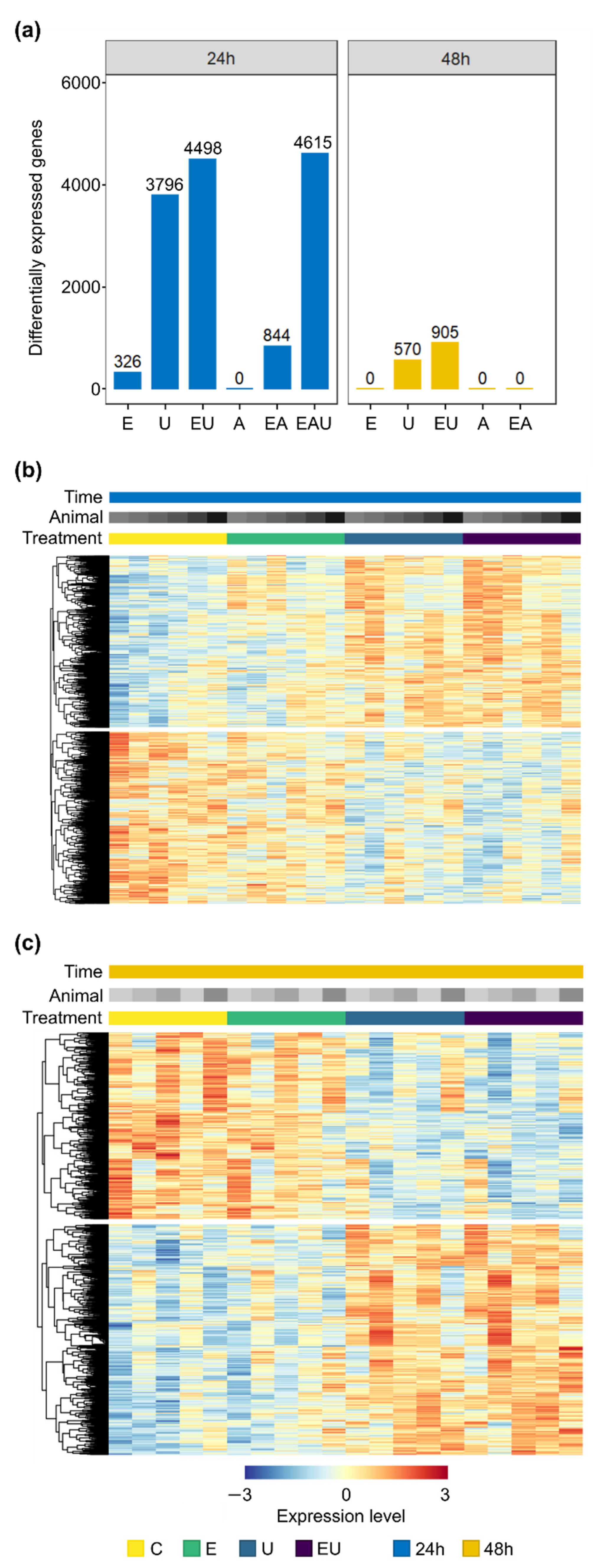 Cells 11 01936 g001 Cells 11 01936 g001