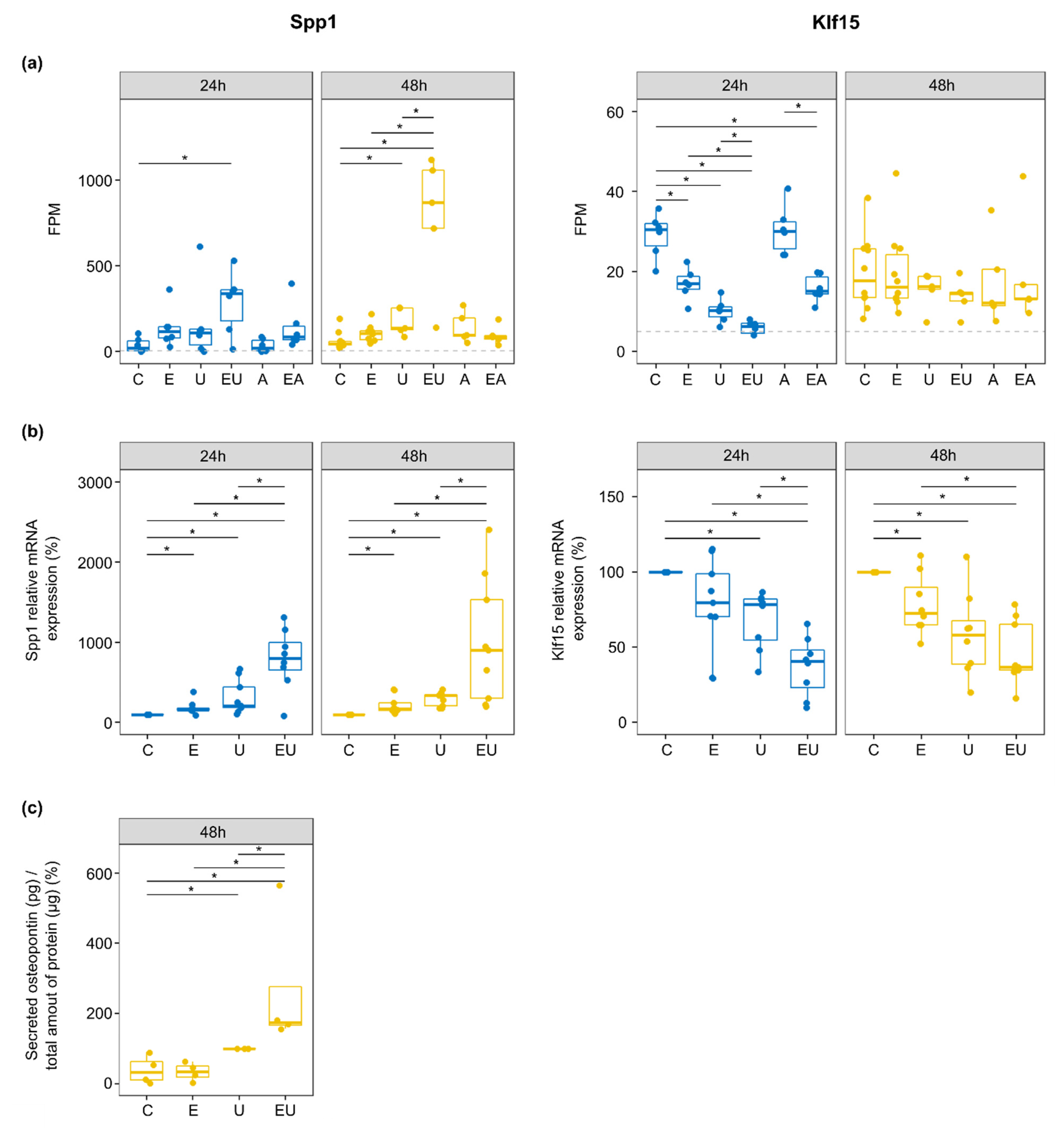 Cells 11 01936 g006 Cells 11 01936 g006