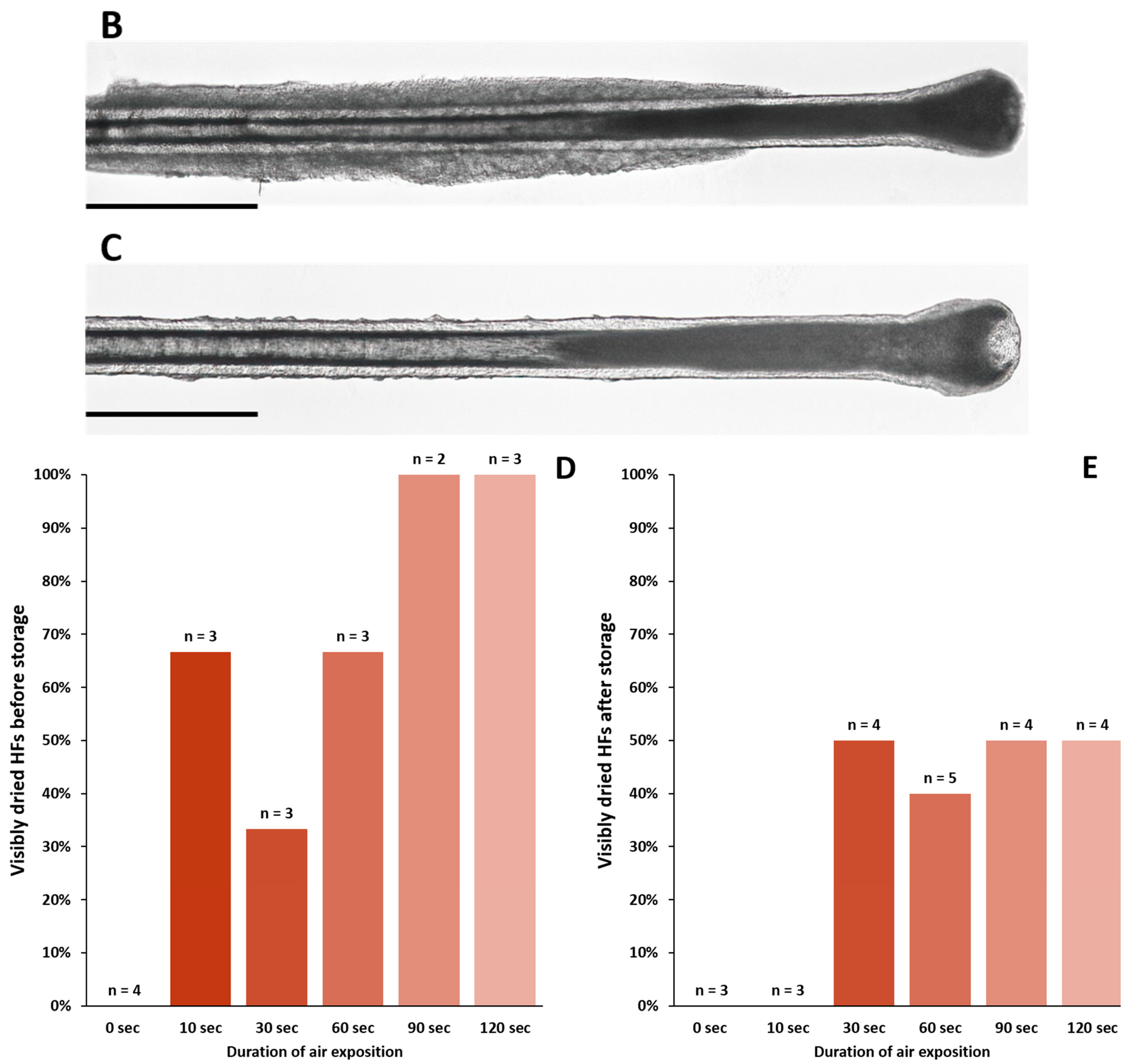 Cells 11 01955 g001b