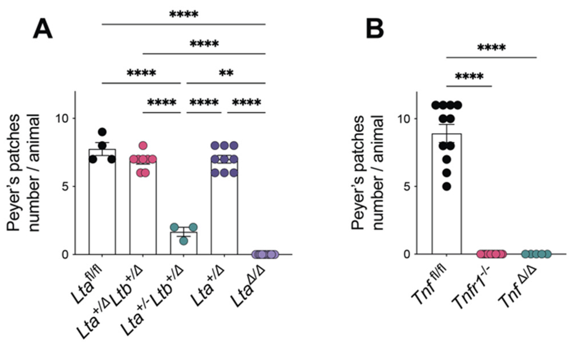 Cells 11 01970 g001 Cells 11 01970 g001