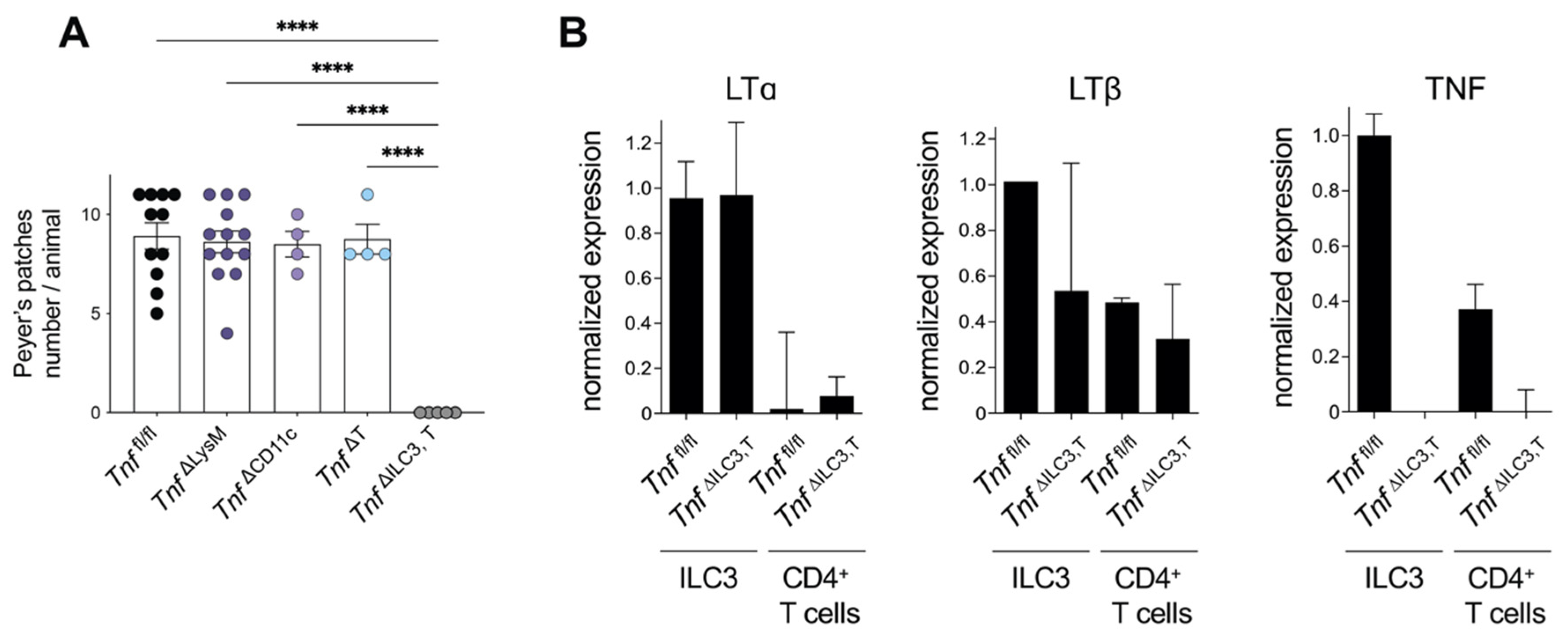 Cells 11 01970 g002 Cells 11 01970 g002