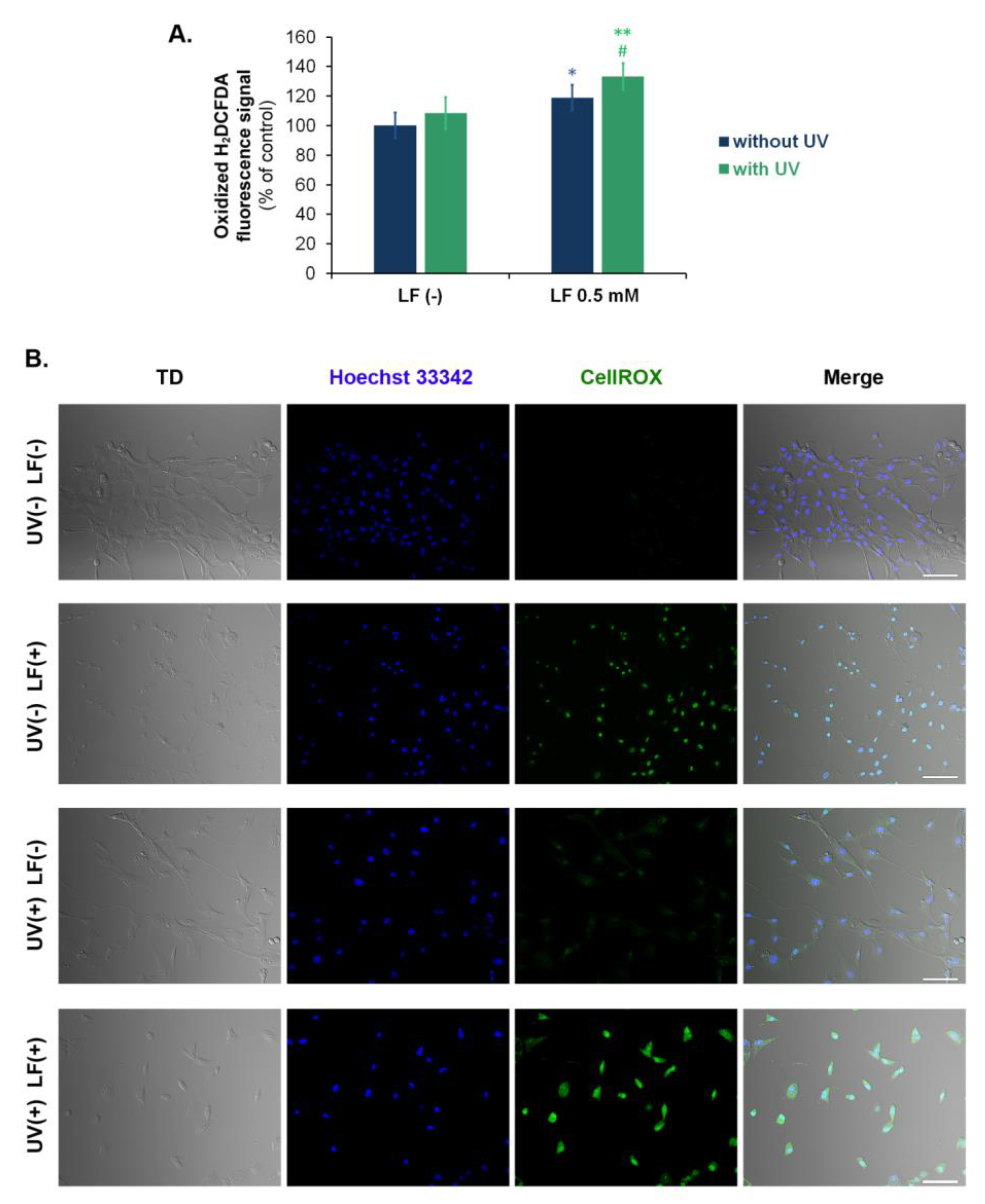 Cells 11 01971 g003 Cells 11 01971 g003