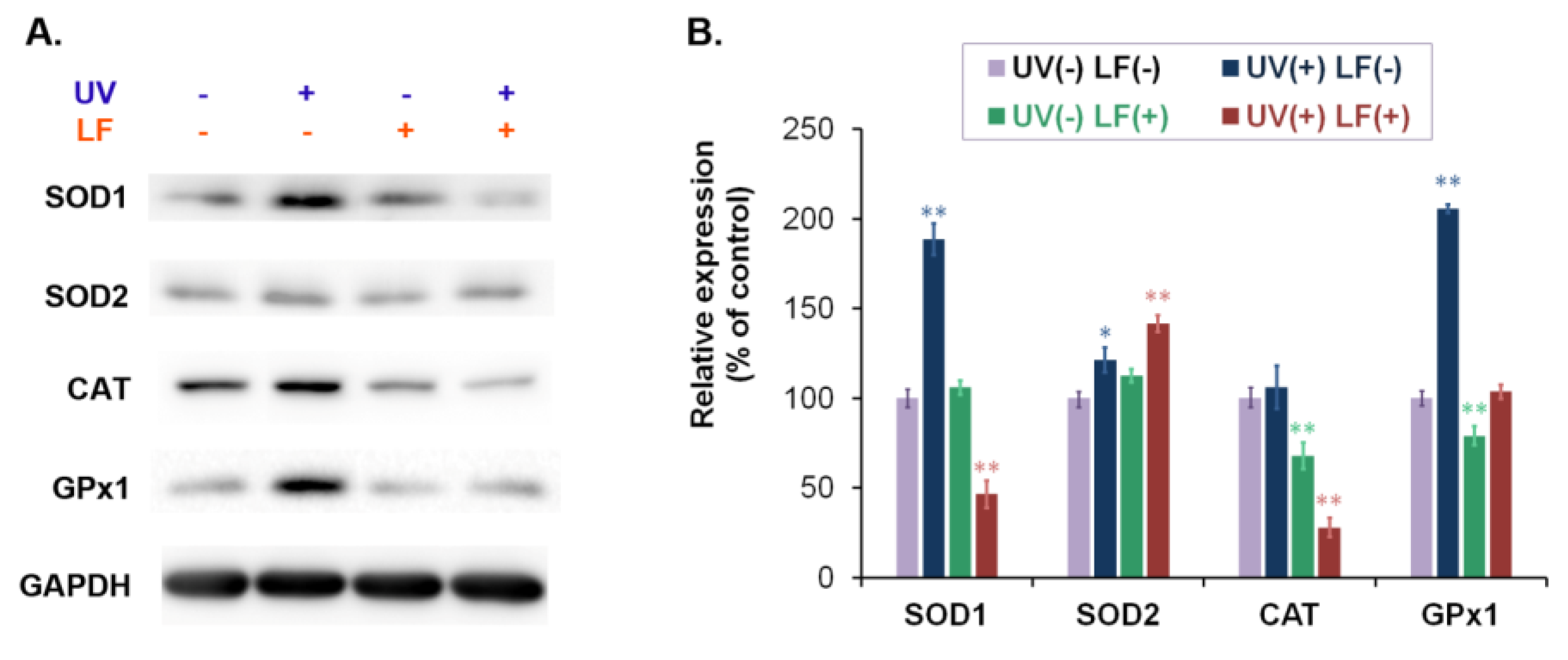 Cells 11 01971 g004 Cells 11 01971 g004