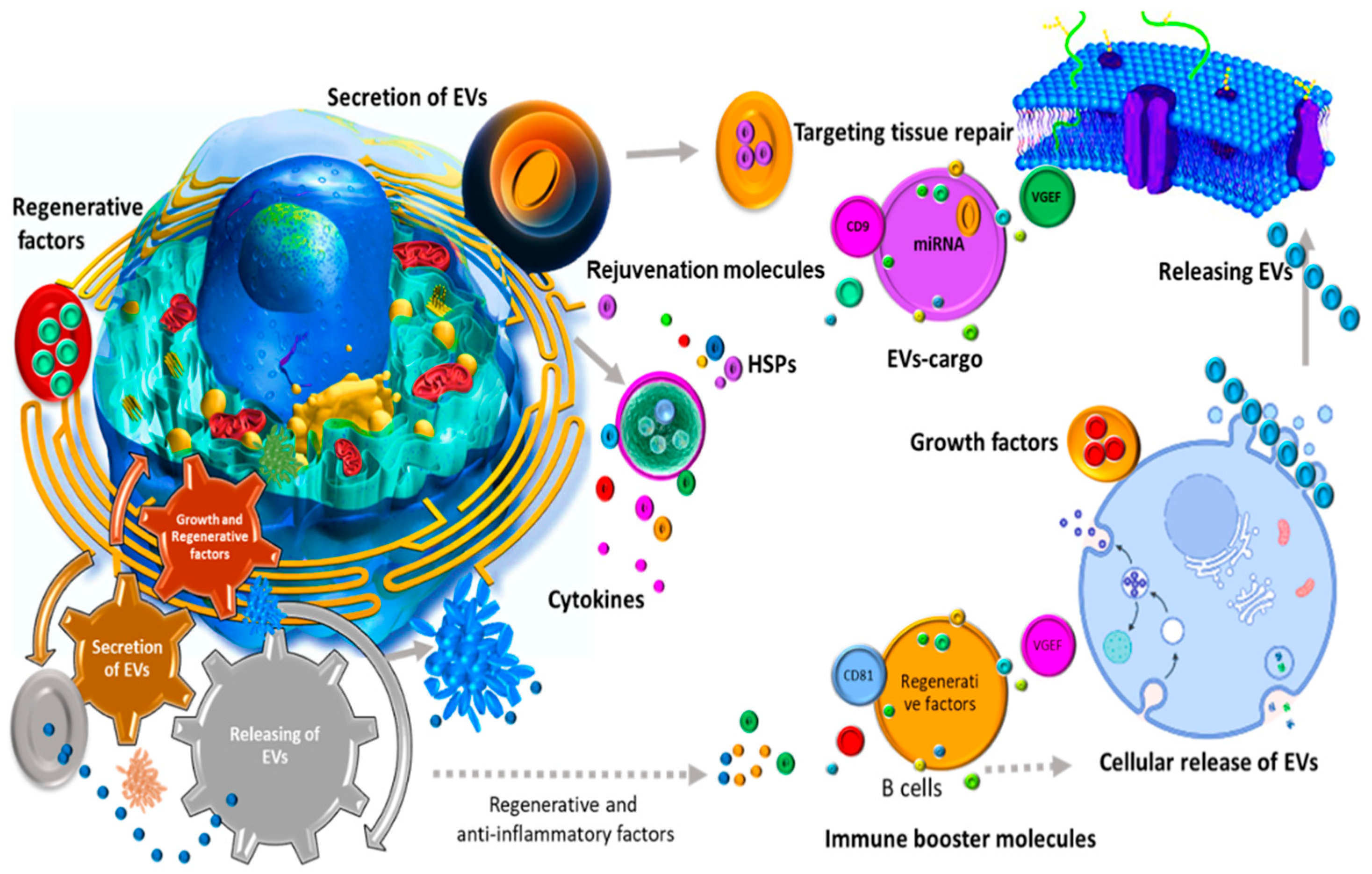 Cells 11 01989 g001 Cells 11 01989 g001