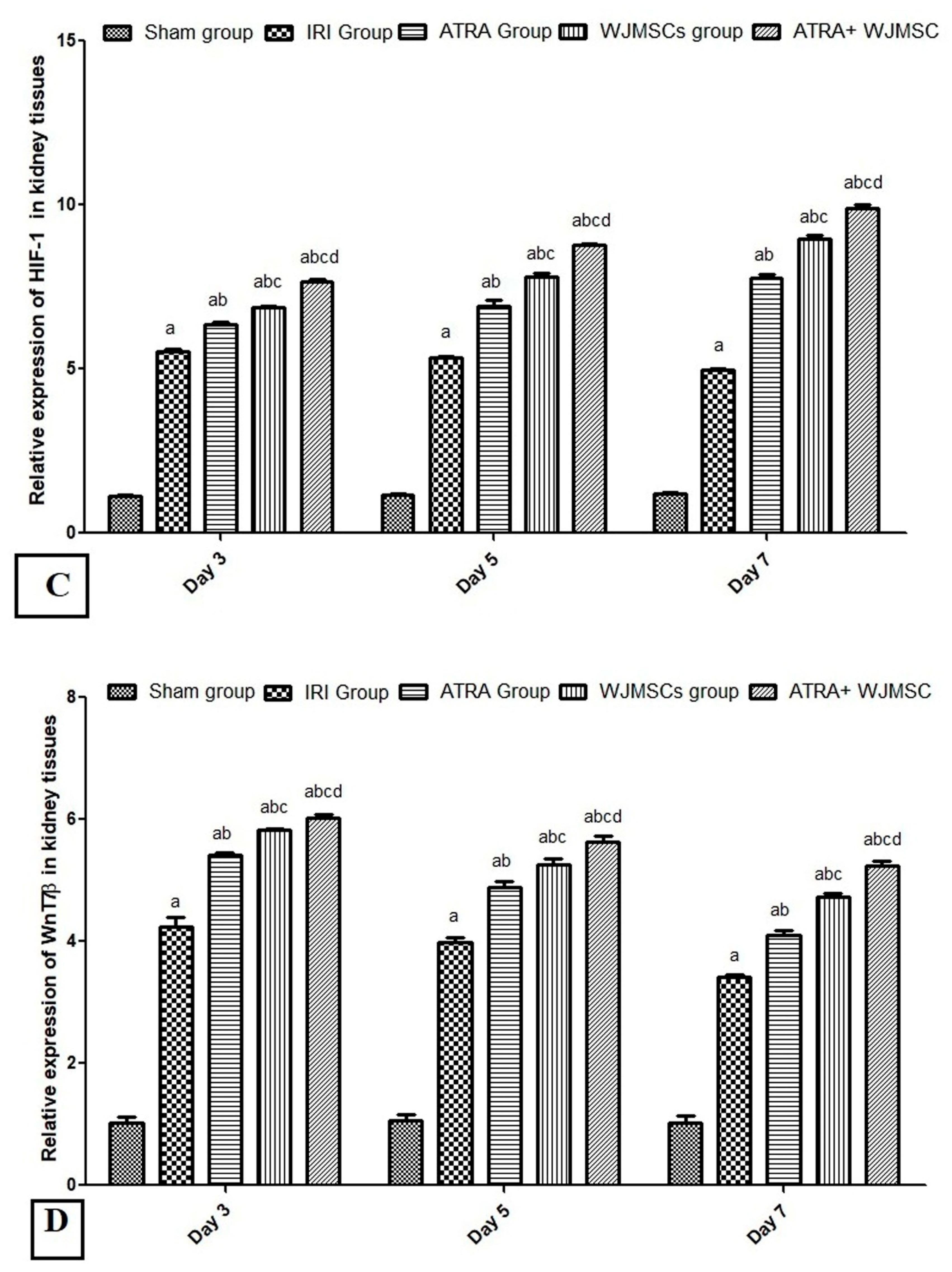Cells 11 01997 g003b