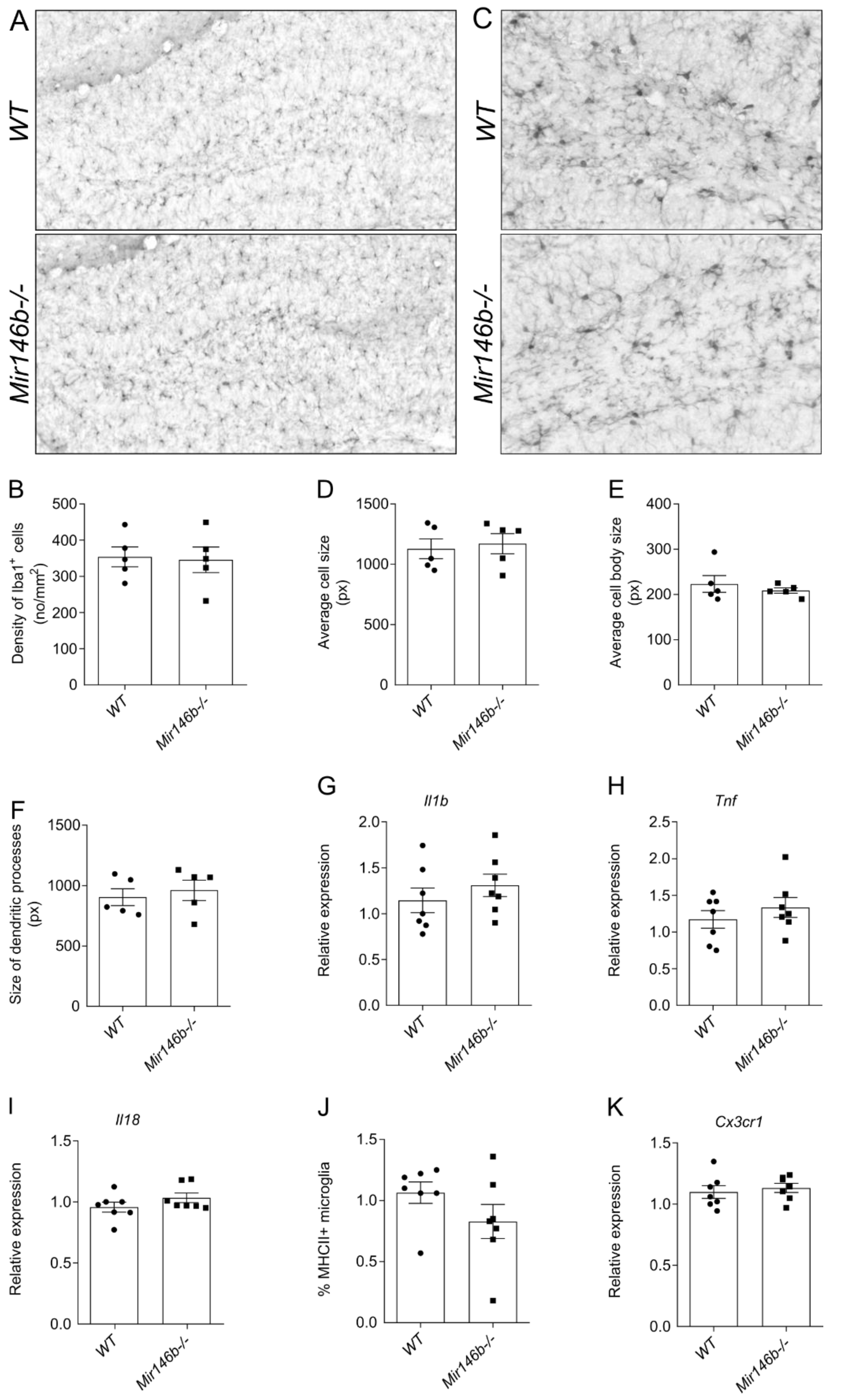 Cells 11 02002 g006 Cells 11 02002 g006